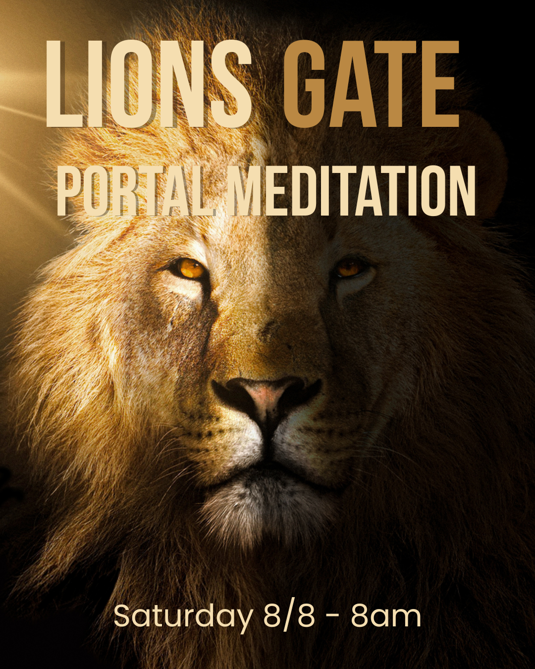 Lionsgate Activation Meditation