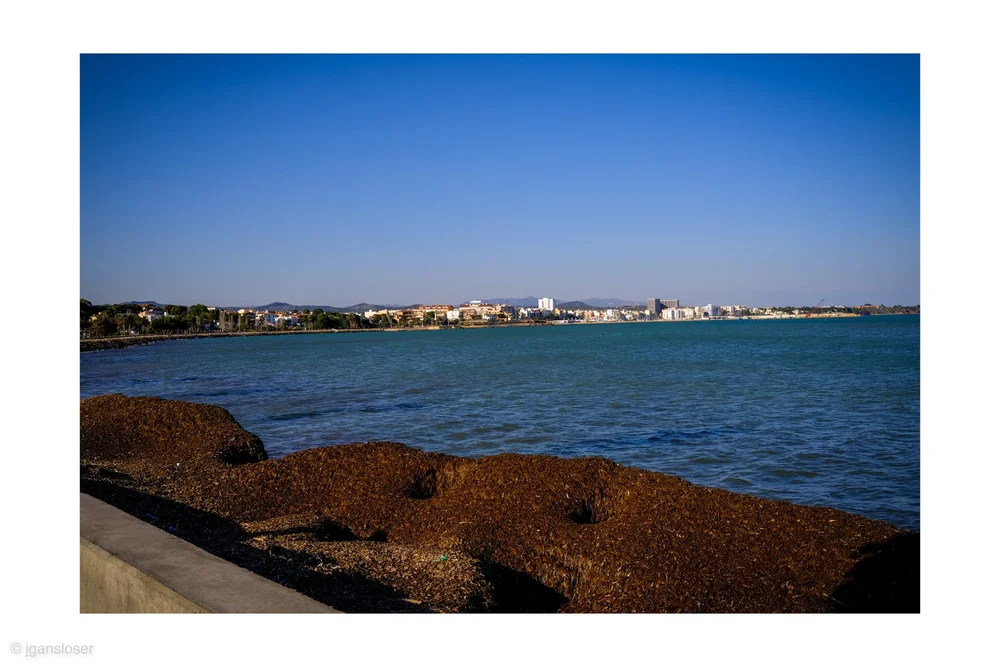 DSCF4614.JPG