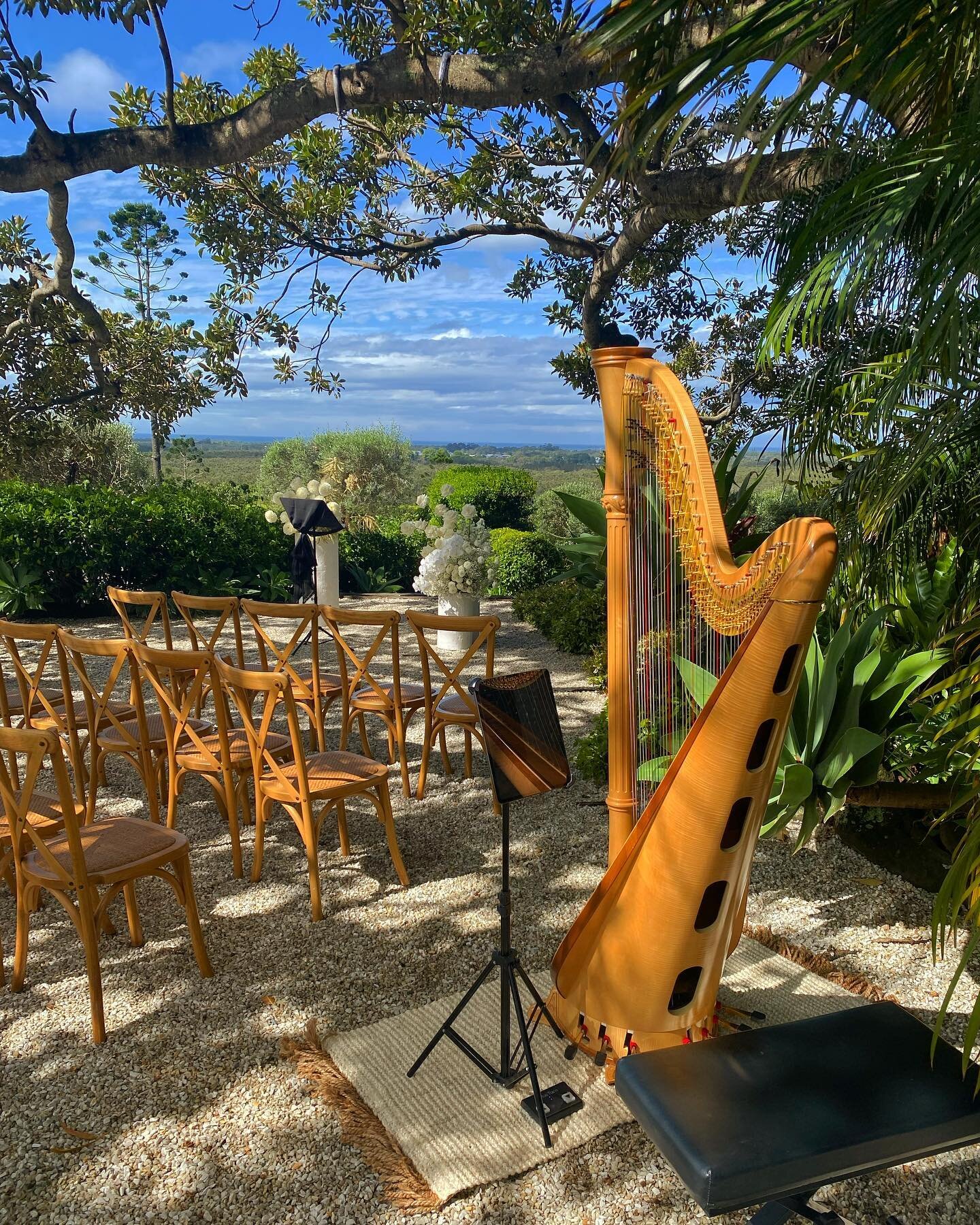 Nothing to see here, just your typical/regular office views of the last couple of weeks

📍Fig Tree Restaurant, Byron Bay
📍St Johns Cathedral, Brisbane 
📍The Grove, Brisbane
📍Redcliffe Leagues Club, Redcliffe
📍Old Museum Building, Brisbane

#harp