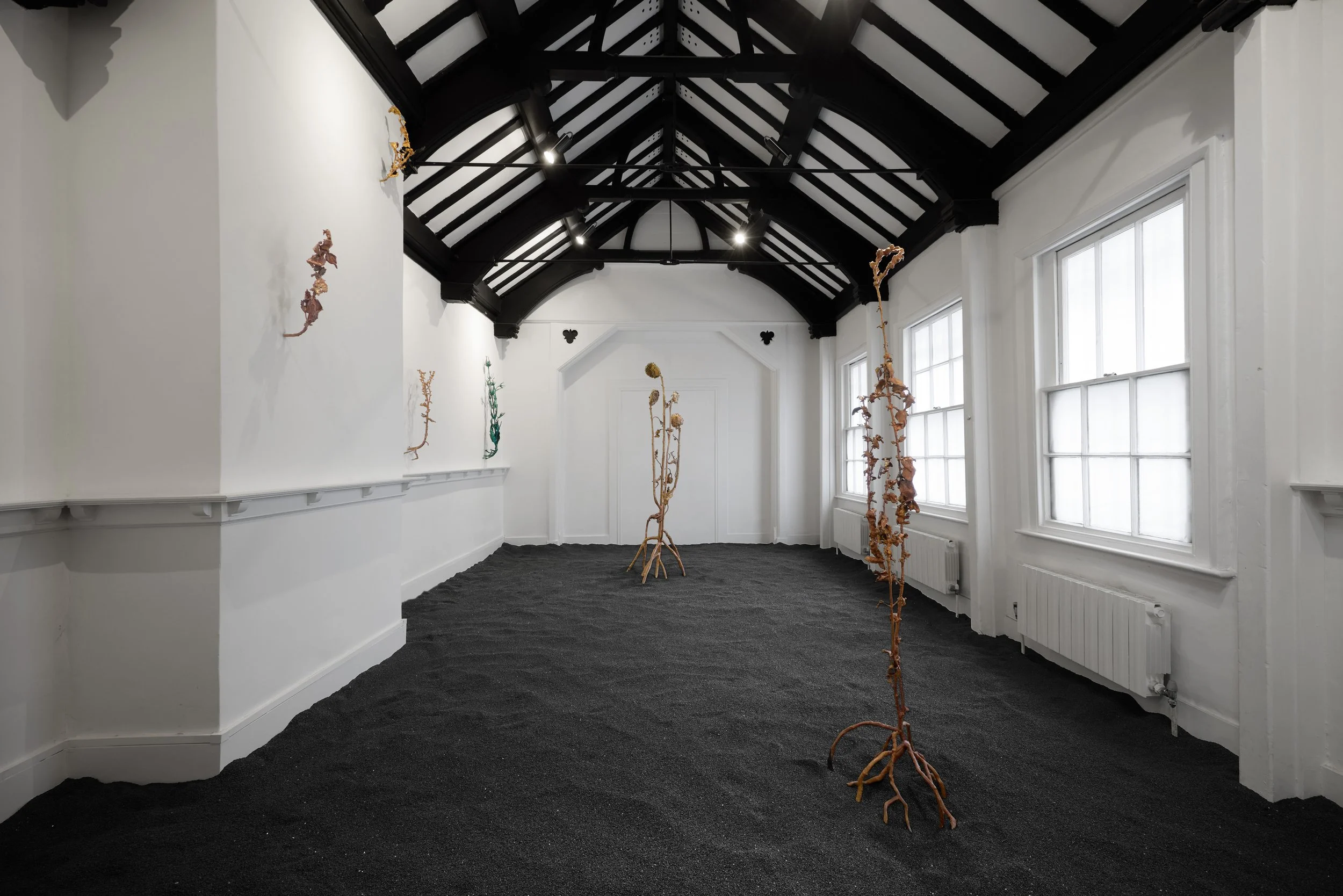 An art gallery room with white walls, large windows, black ceiling beams, and hanging sculptures resembling abstract plant forms made from wood or similar material.