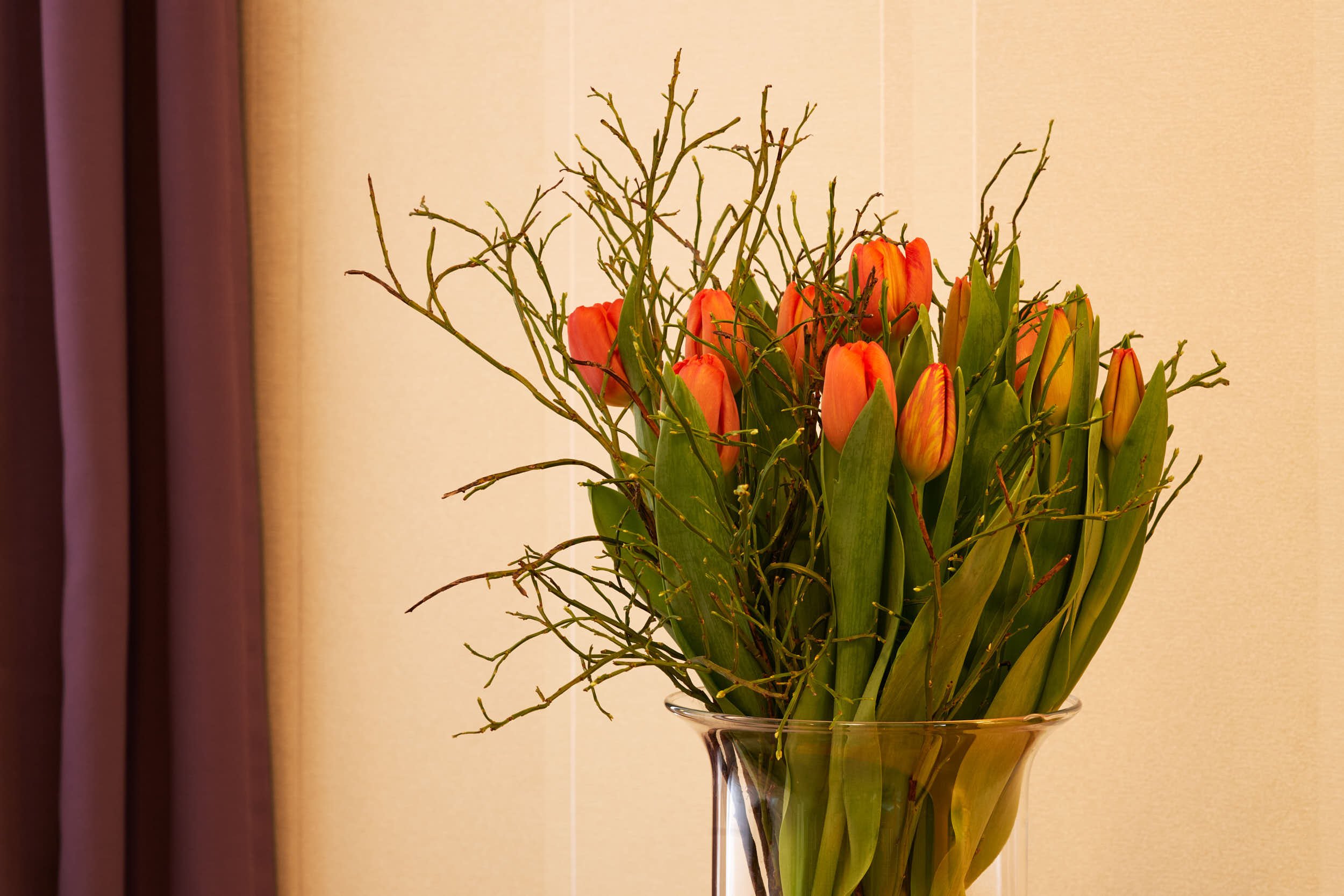 Ein Blumenstrauß aus orangefarbenen Tulpen und grünen Zweigen in einer Glasvase vor beiger Wand und violettem Vorhang.