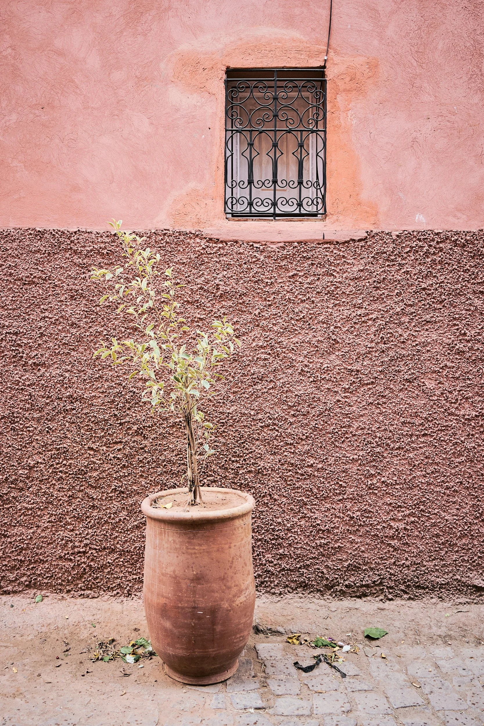 Marrakesch__13.jpg