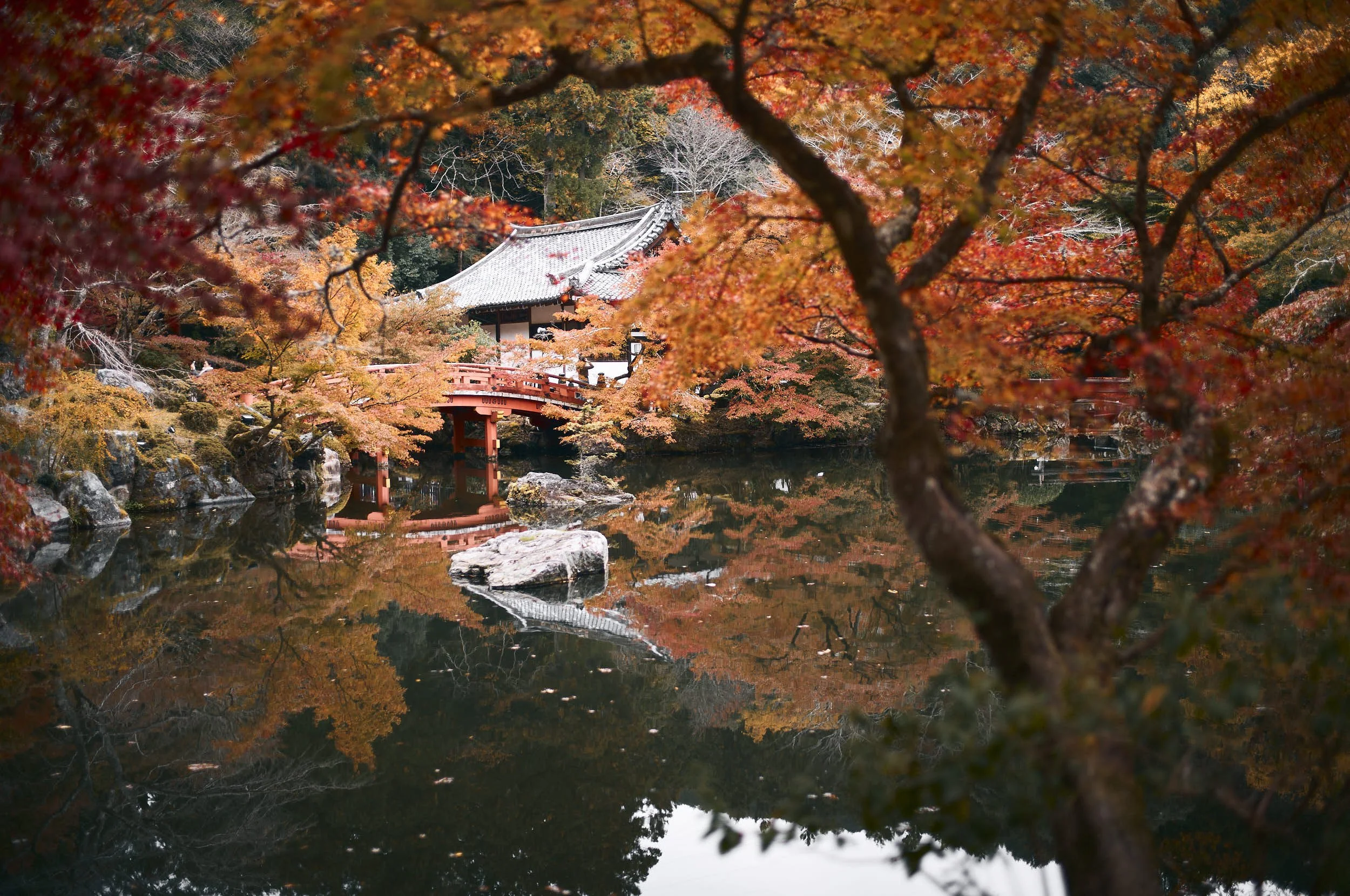 Japanischer Garten mit rotem Holzbrücke, Herbstlaub in leuchtenden Farben, Reflexion im Wasser, traditionelles Gebäude im Hintergrund.