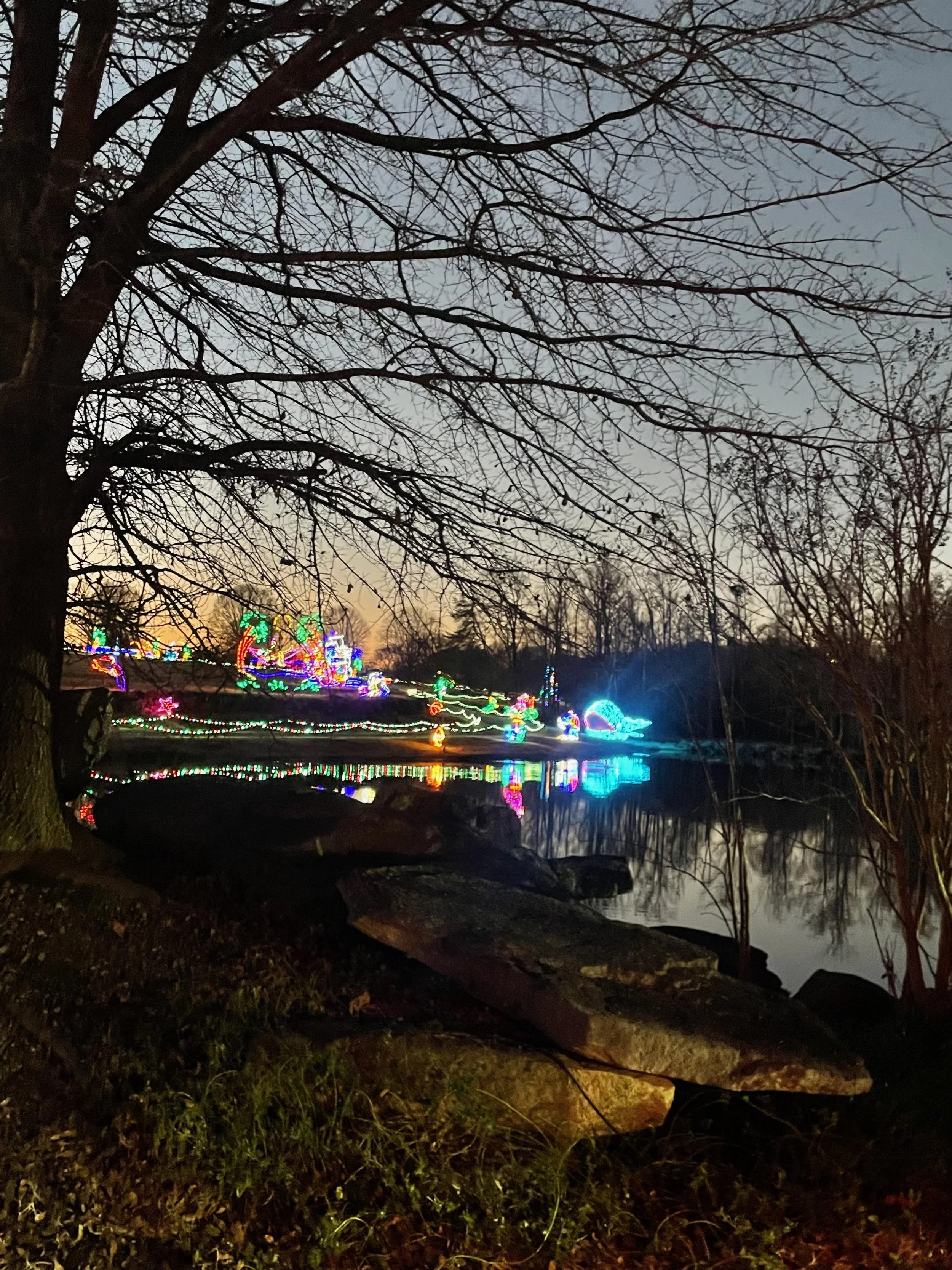 IMG_0179.jpeg
