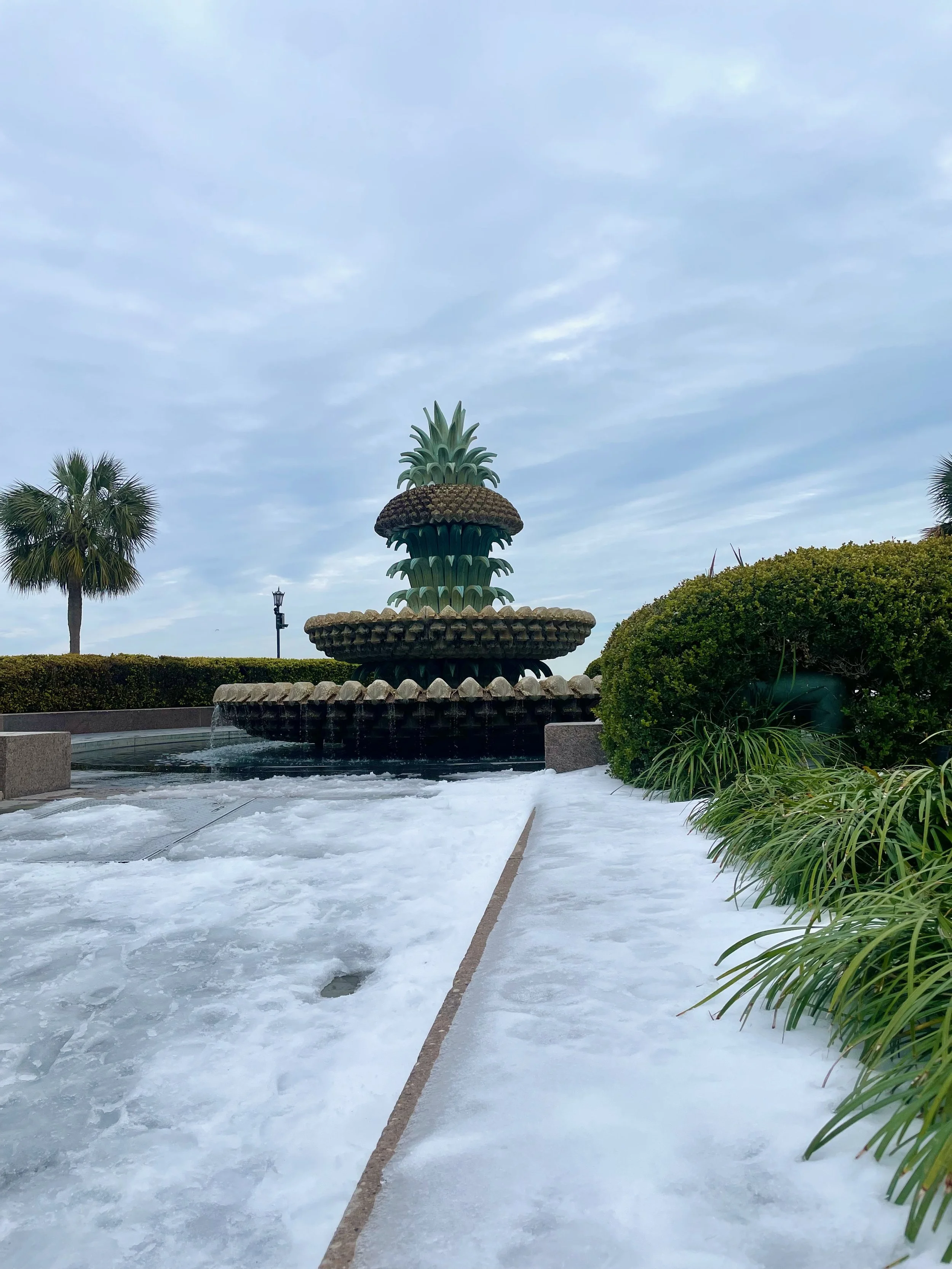 IMG_0365.jpeg