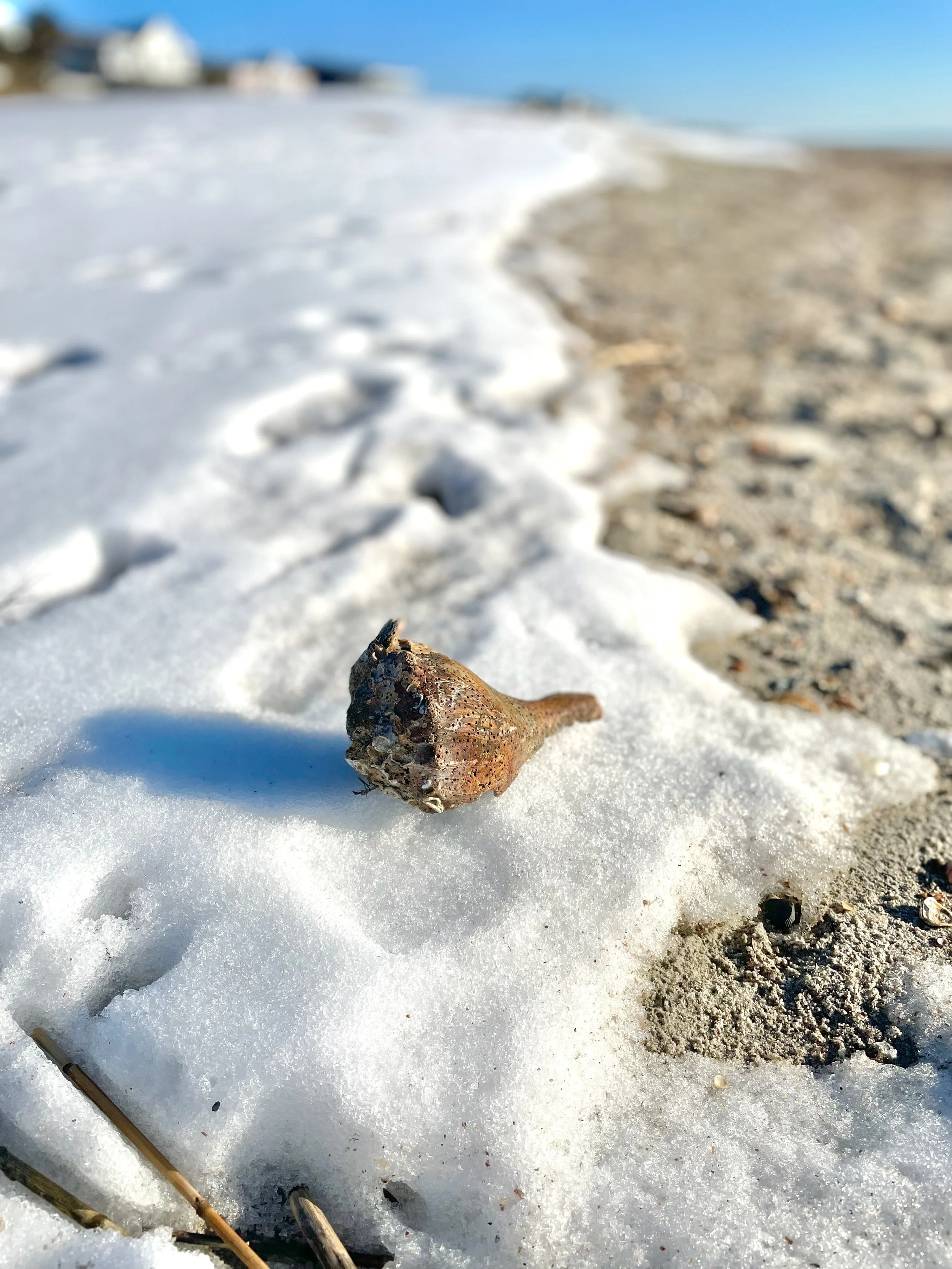 IMG_0426.jpeg