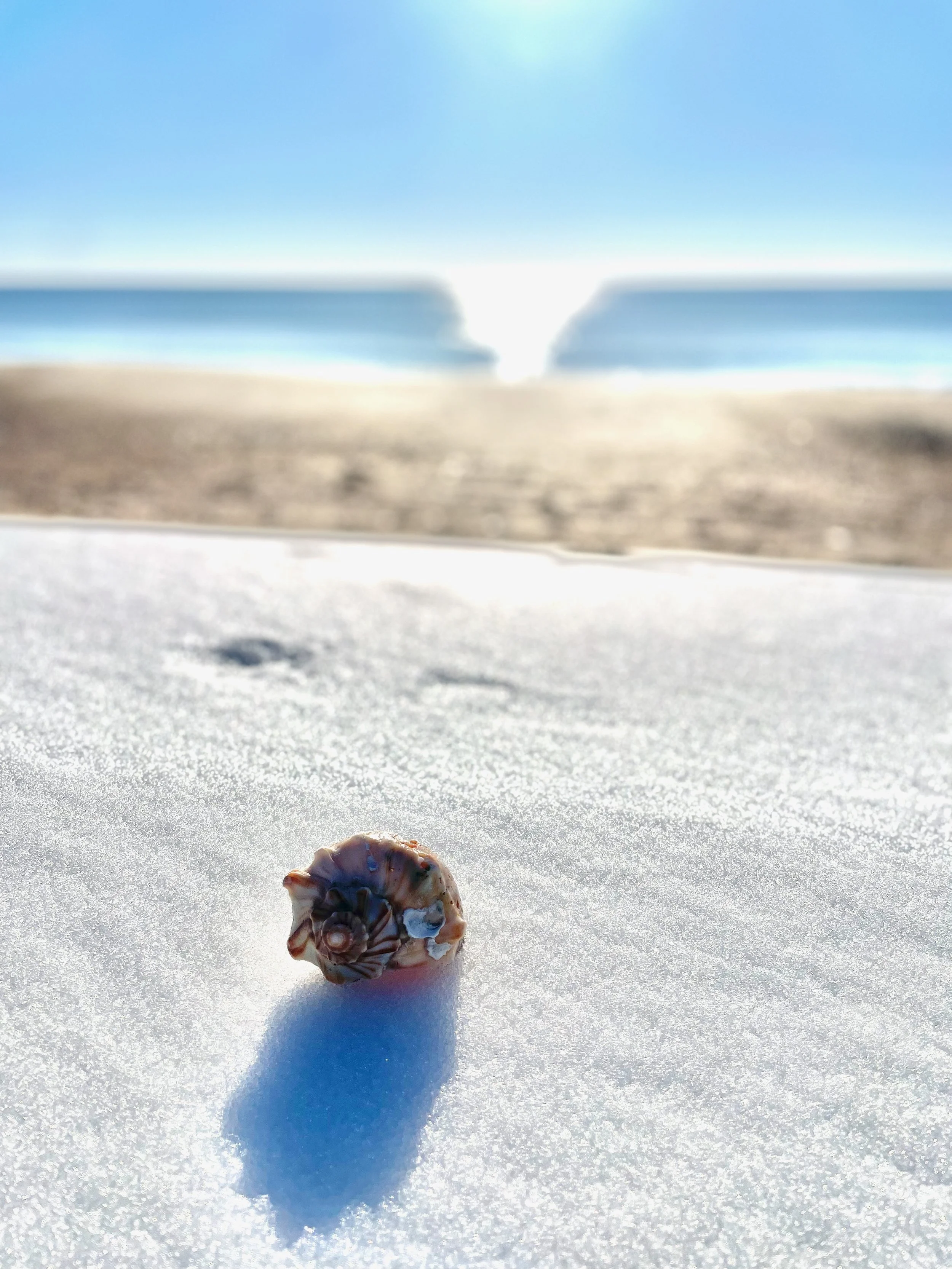 IMG_0431.jpeg