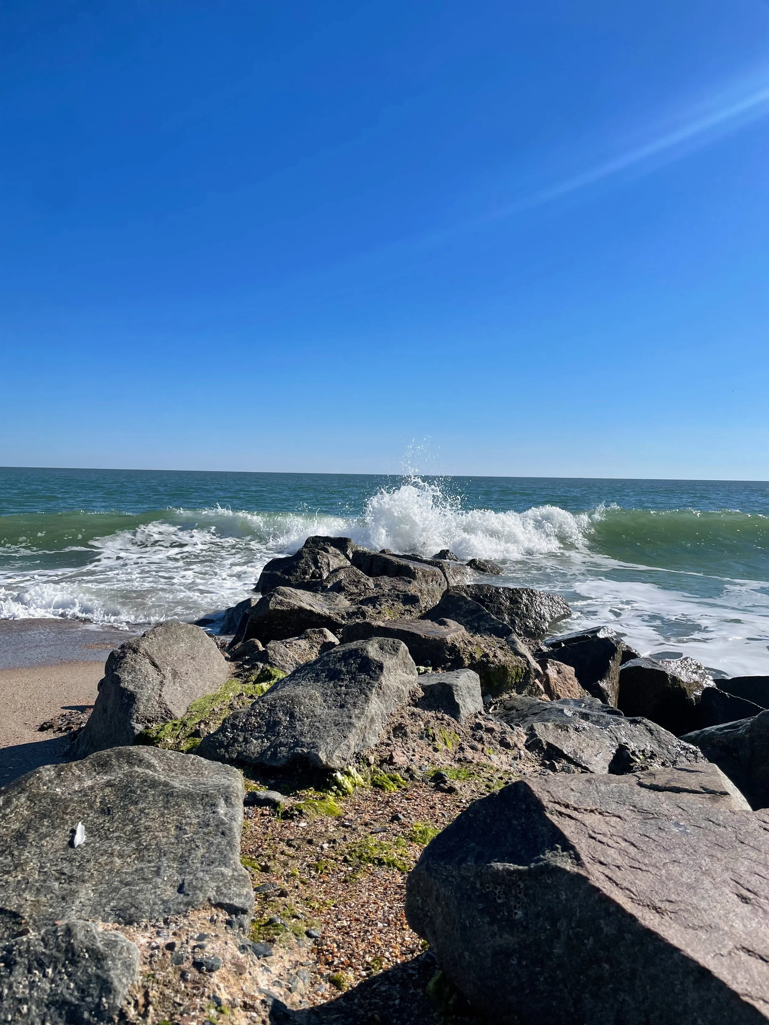IMG_0471.jpeg