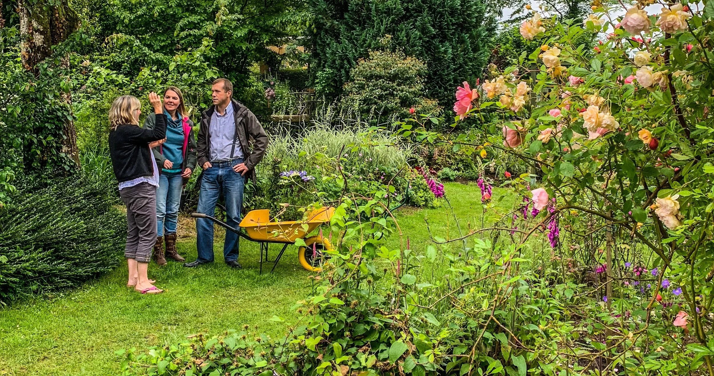 Back garden shot2.0.jpg