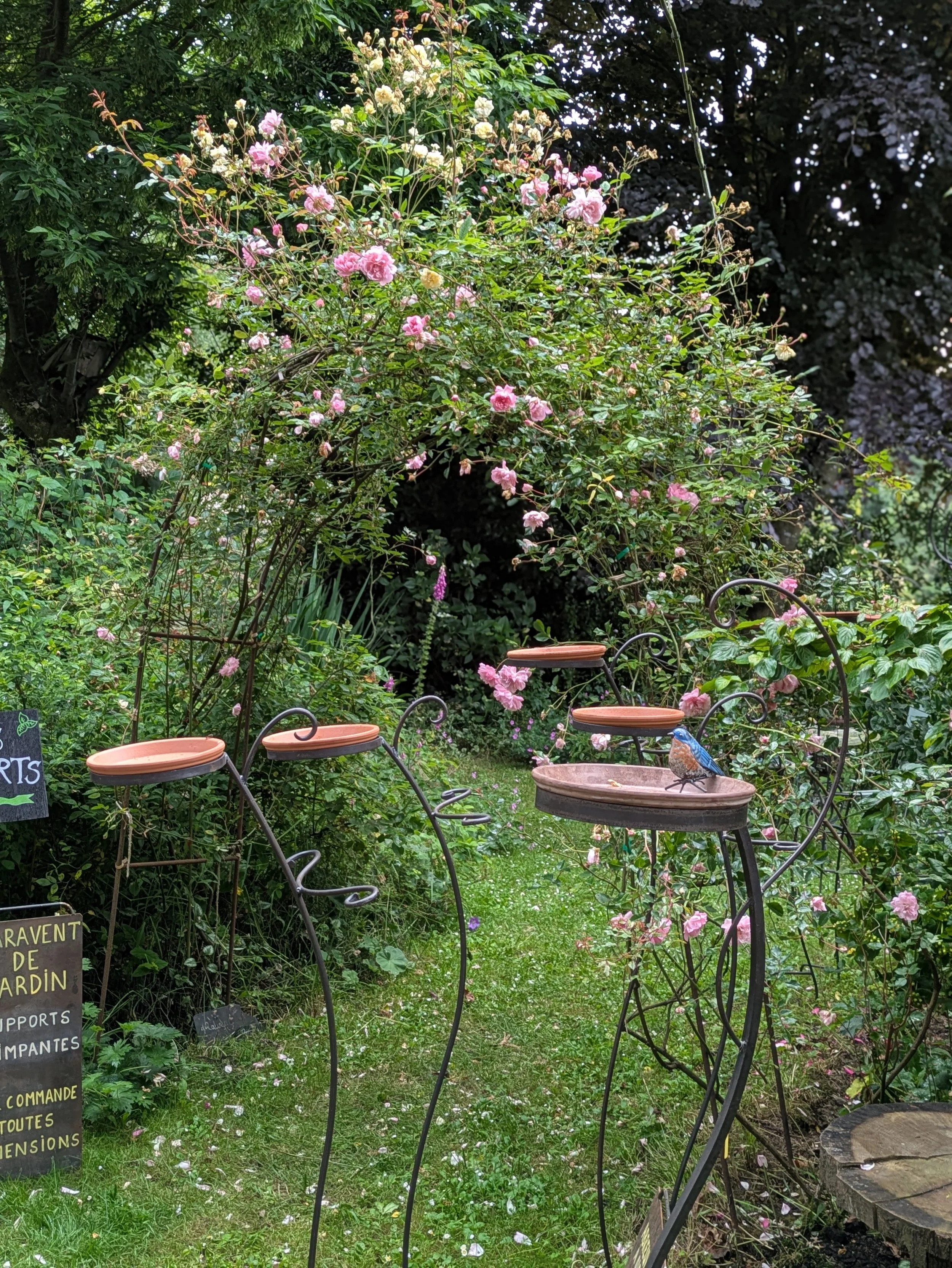 Déco jardin 2025