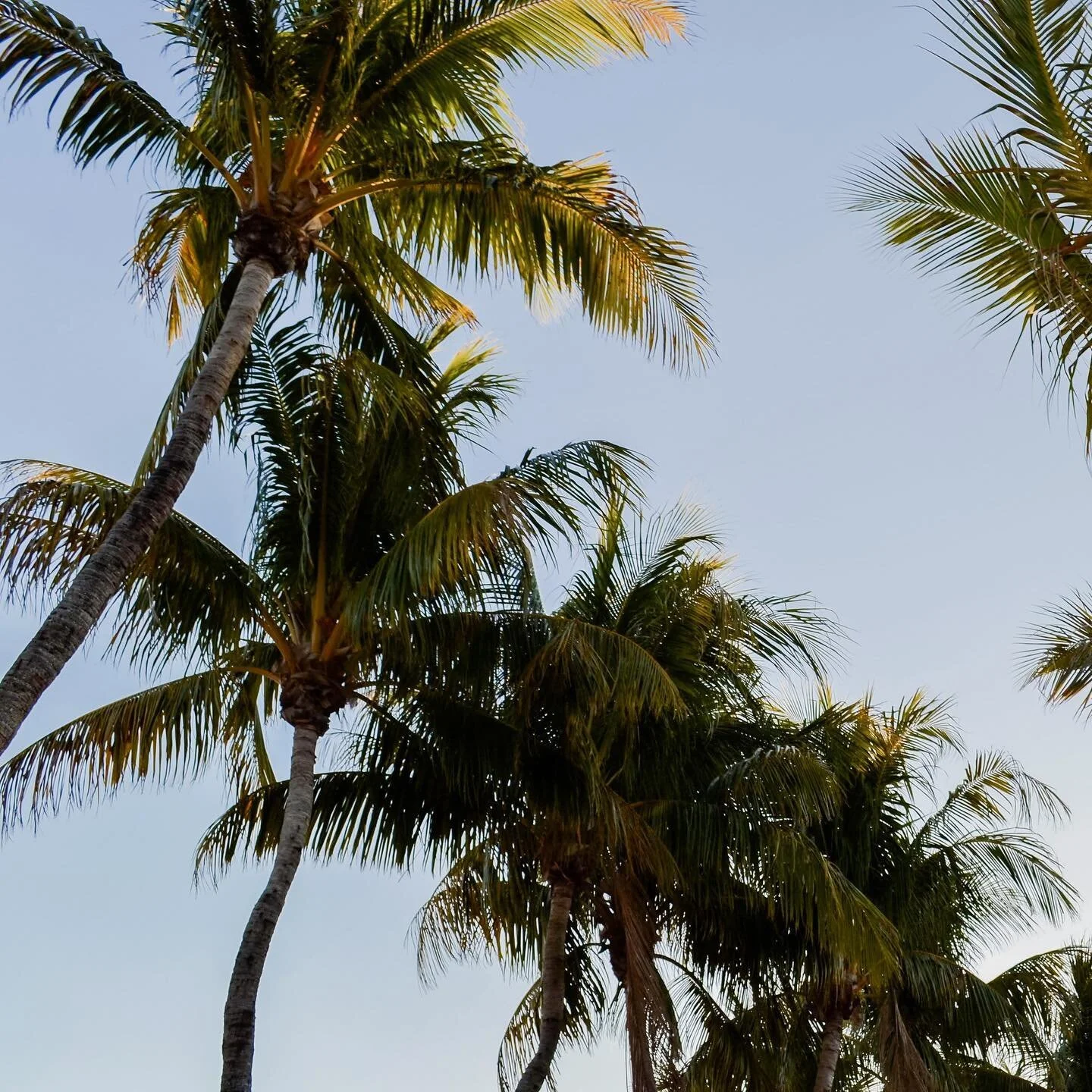 The most important thing you can do to be more successful
⠀⠀⠀⠀⠀⠀⠀⠀⠀
Create a life you love
⠀⠀⠀⠀⠀⠀⠀⠀⠀
Have better relationships
⠀⠀⠀⠀⠀⠀⠀⠀⠀
Is to start prioritizing your health
⠀⠀⠀⠀⠀⠀⠀⠀⠀
I help you do just this
⠀⠀⠀⠀⠀⠀⠀⠀⠀
Because life is too short save y