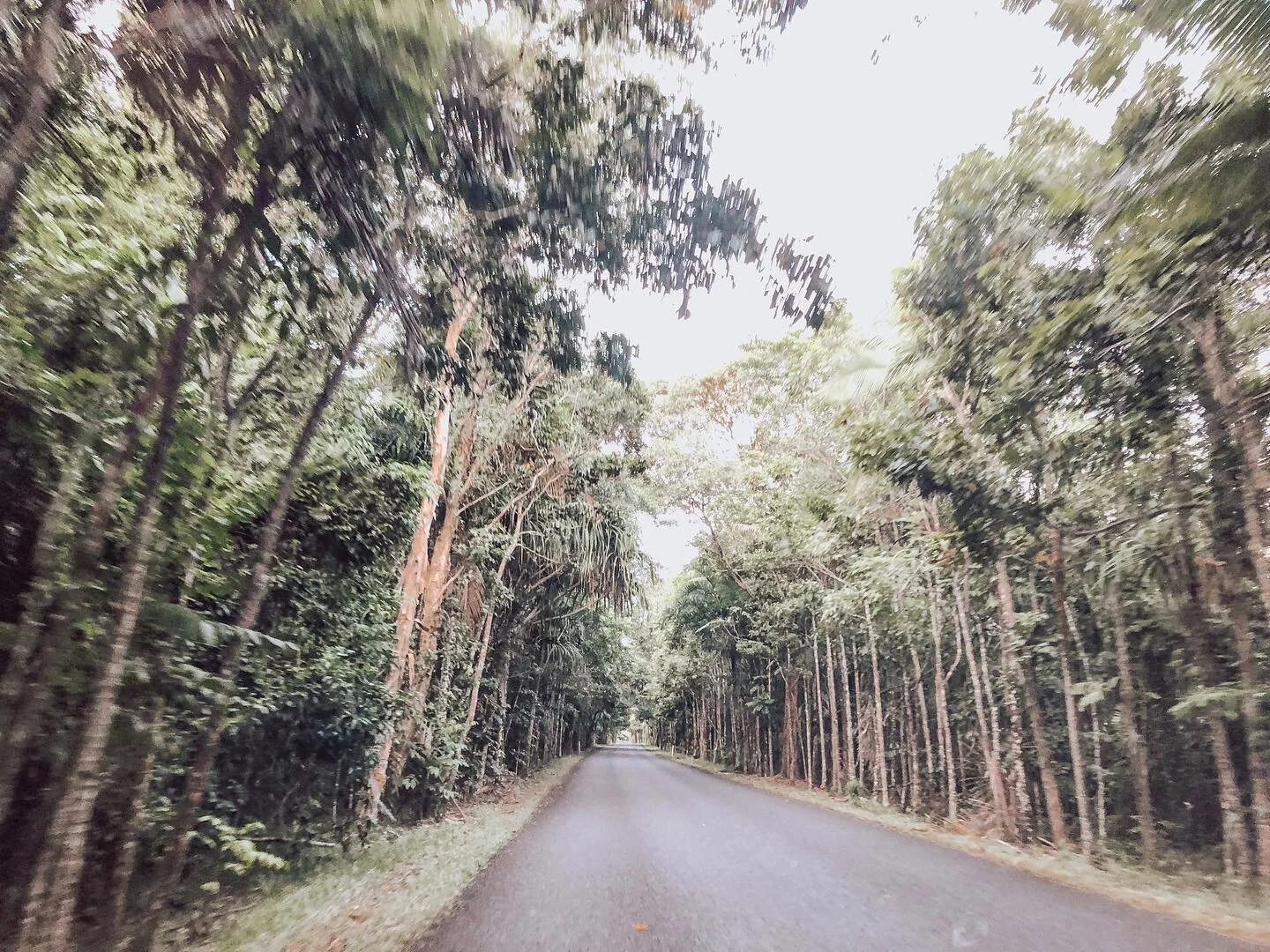 Stop Scrolling. This is an invitation.
⠀⠀⠀⠀⠀⠀⠀⠀⠀
Take a step back &amp; look at your life.
⠀⠀⠀⠀⠀⠀⠀⠀⠀
See past the dishes in the sink, the 5lbs you want to lose for summer...all the ways you don&rsquo;t measure up.
⠀⠀⠀⠀⠀⠀⠀⠀⠀
Step back further.
⠀⠀⠀⠀⠀⠀⠀