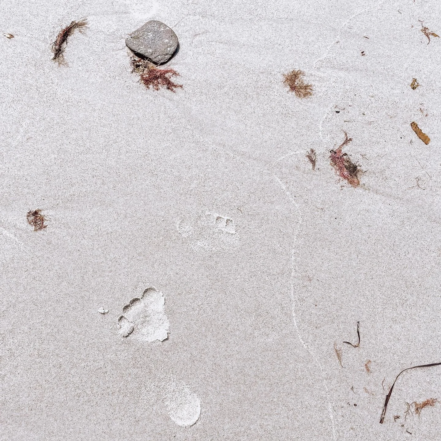 What do you need to say to your younger self
⠀⠀⠀⠀⠀⠀⠀⠀⠀
Maybe not wisdom for your 20s
⠀⠀⠀⠀⠀⠀⠀⠀⠀
But compassion &amp; healing for the little one who set the patterns for your current life
⠀⠀⠀⠀⠀⠀⠀⠀⠀
Is there something you could tell them to allow yourse