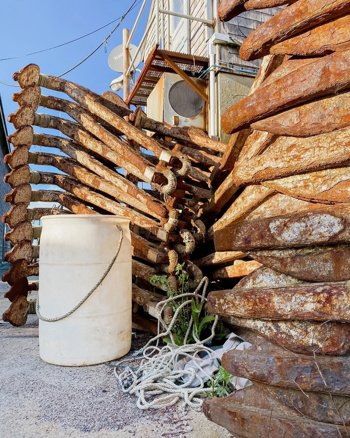 What keeps you anchored&hellip;in other words what reminds you who the EFF you are 
⠀⠀⠀⠀⠀⠀⠀⠀⠀
I remember a coach telling me to remember &ldquo;who the eff I am&rdquo;
⠀⠀⠀⠀⠀⠀⠀⠀⠀
&hellip;who me?
⠀⠀⠀⠀⠀⠀⠀⠀⠀
Ummm
⠀⠀⠀⠀⠀⠀⠀⠀⠀
It&rsquo;s not that I didn&rsquo