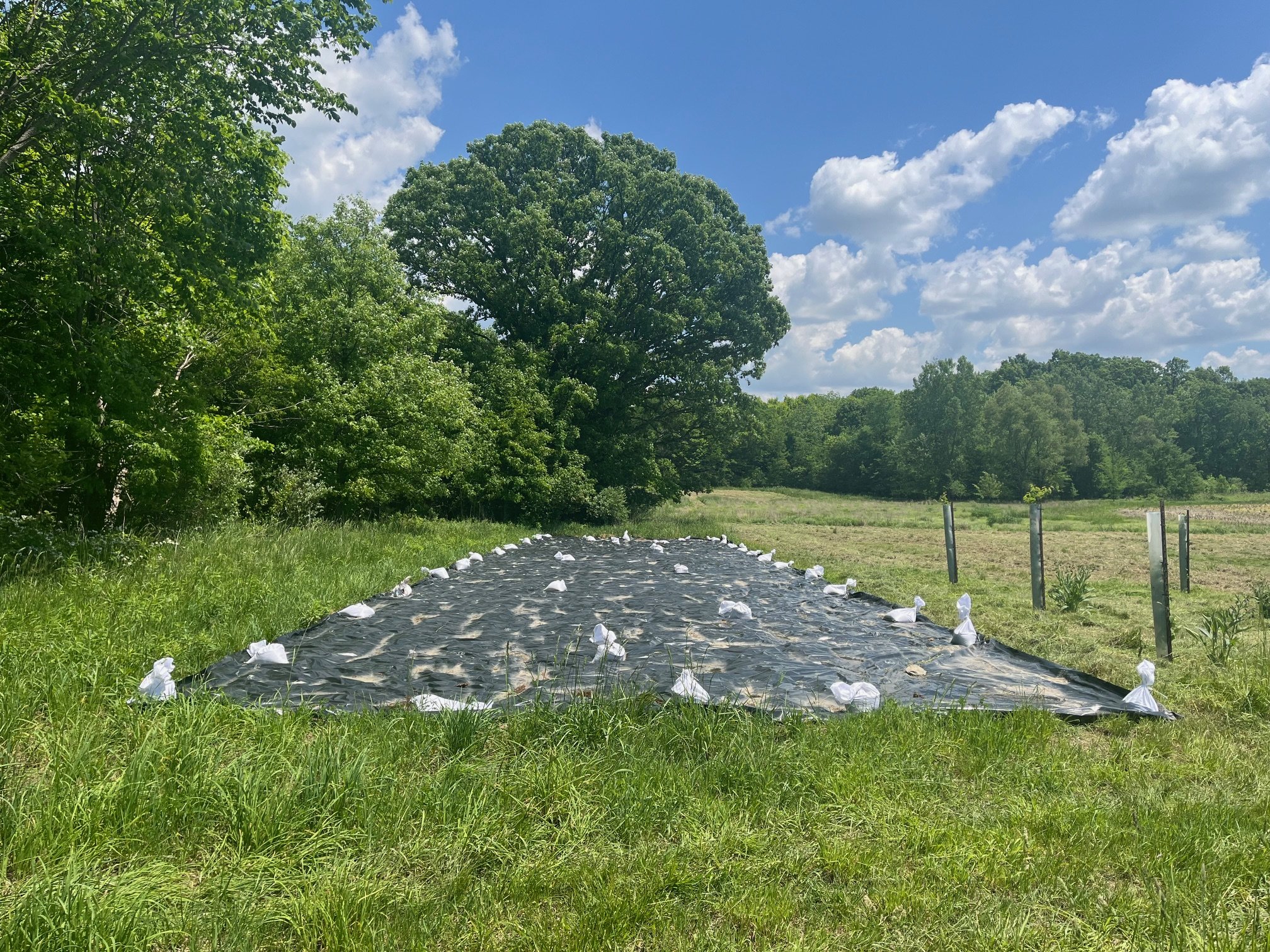 silage tarp with sandbags