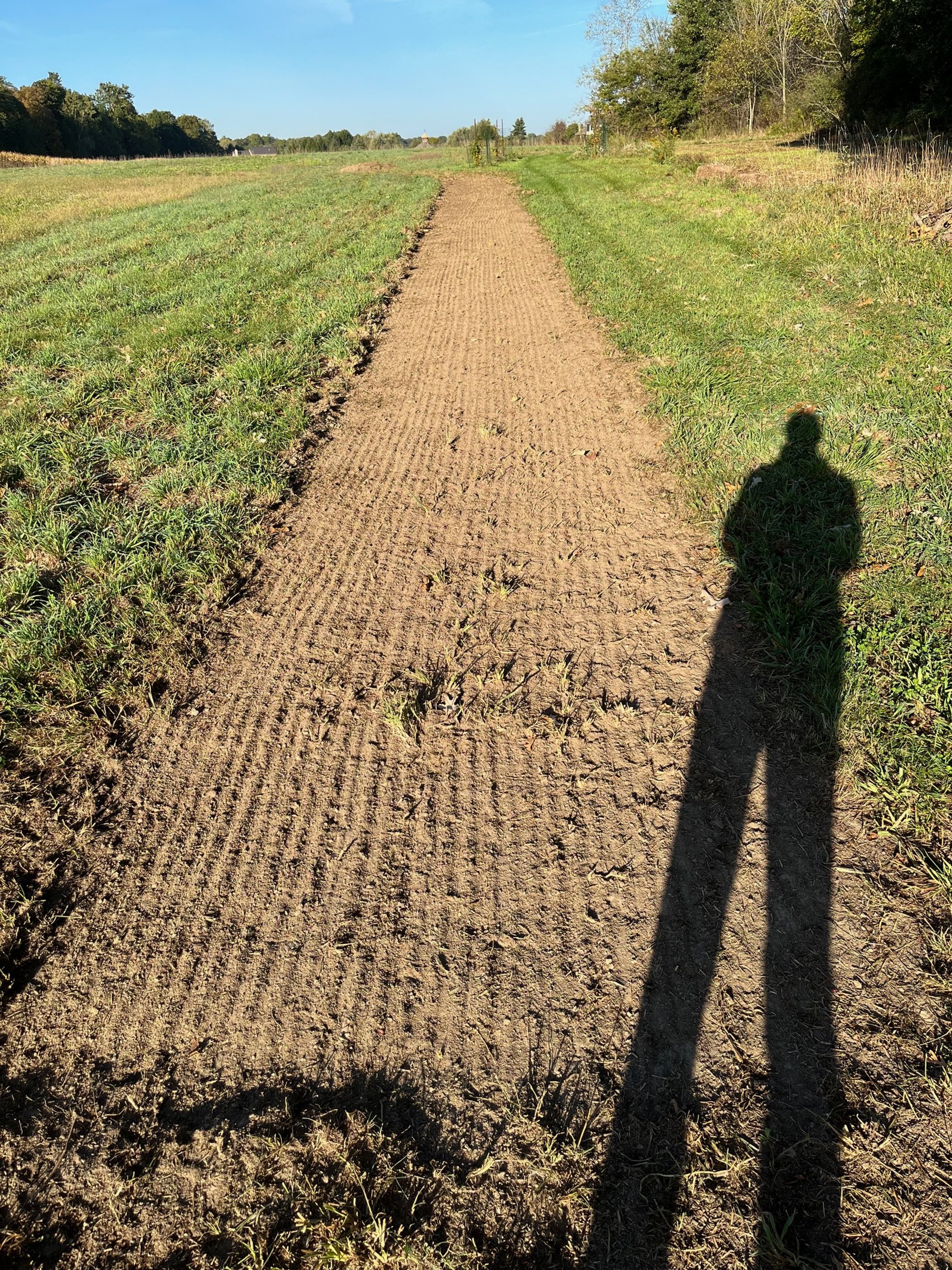 farm path scraped for clover seeding