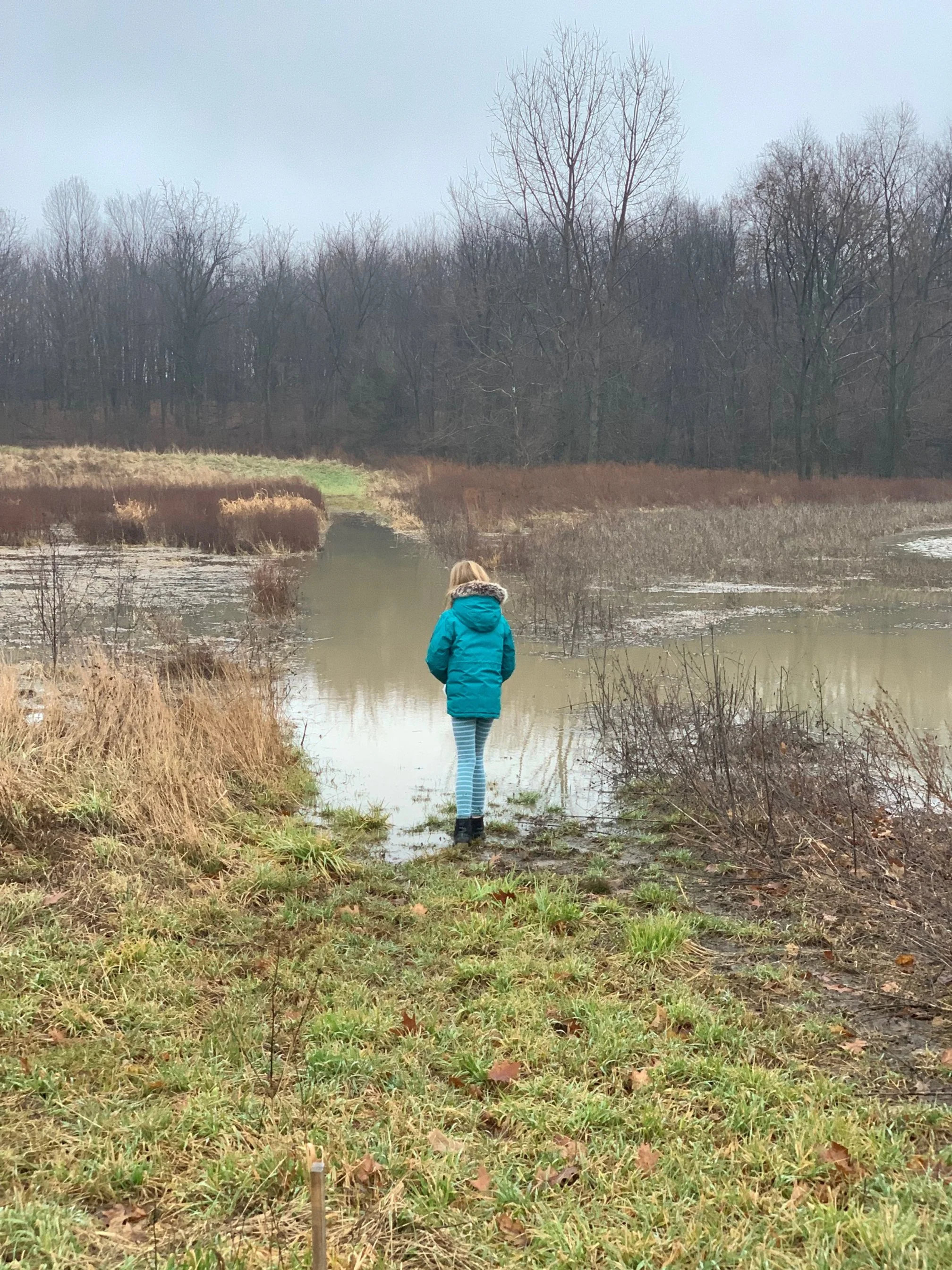drain tile overflow in field