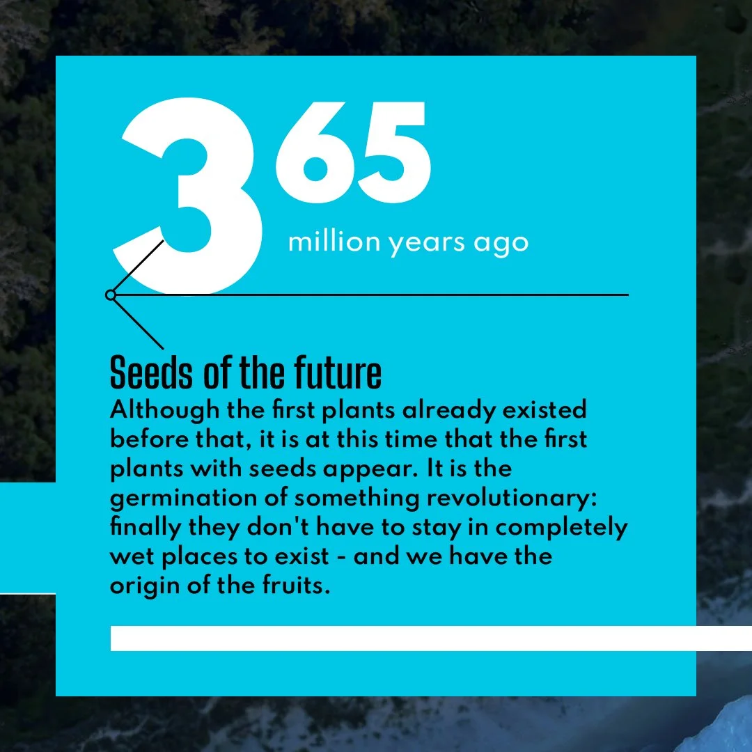 earthx_feed_20_02.jpg