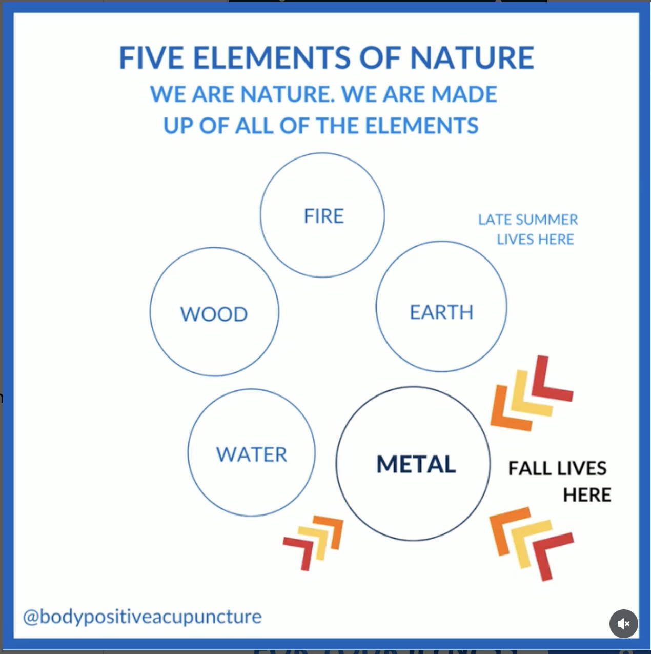 Autumn, the Metal Element, and the Practice of Letting Go