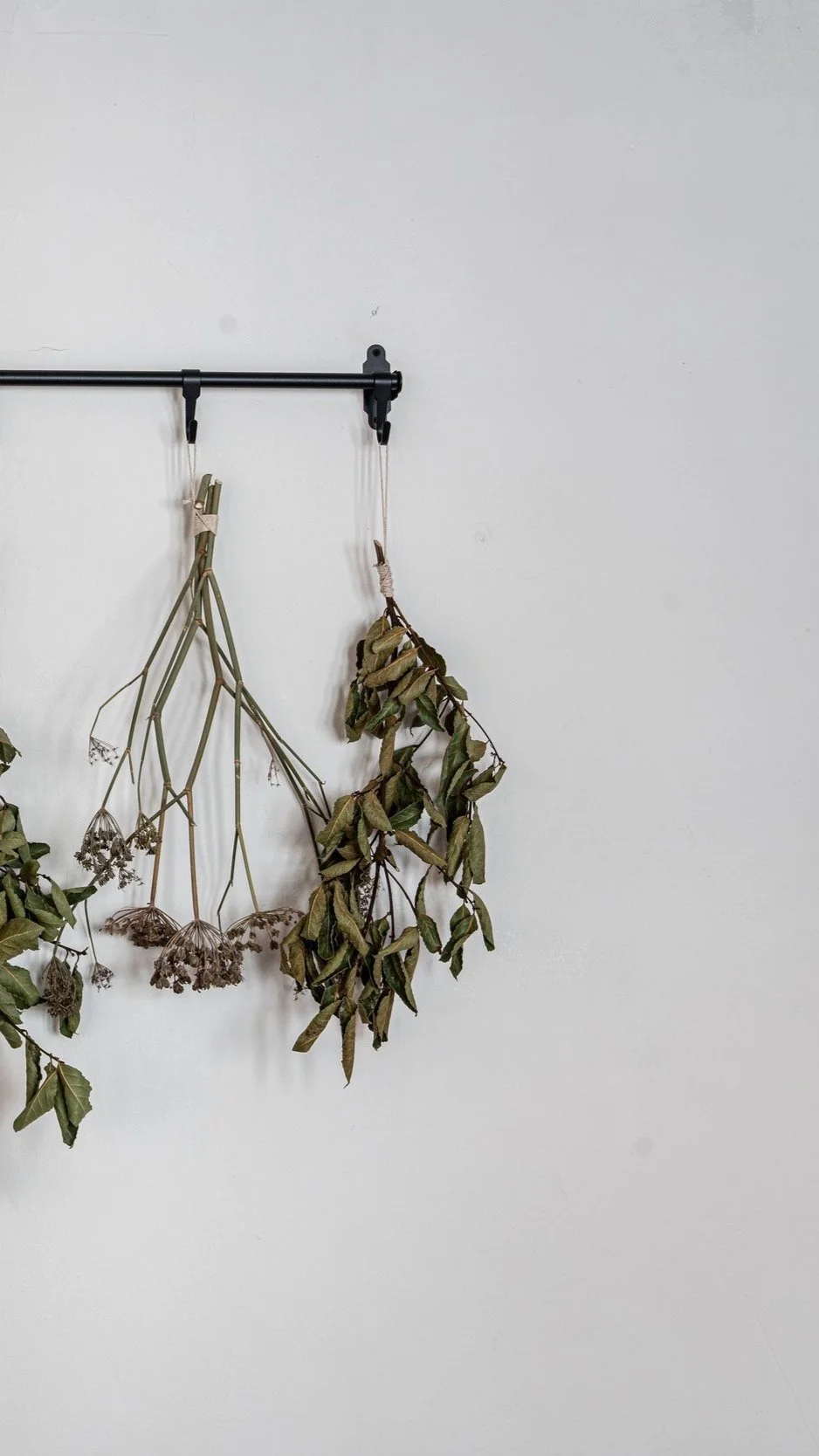 Summer 2024 — The Jackdaw