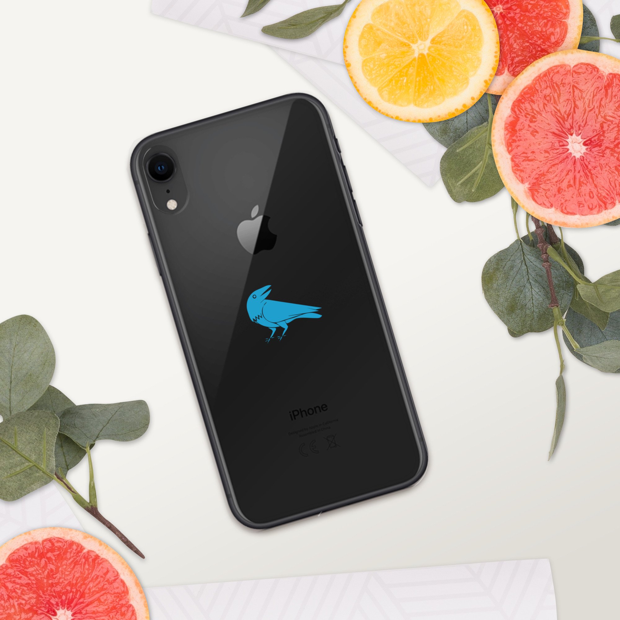 clear-case-for-iphone-iphone-xr-springsummer-2-67213f26af43d.jpg