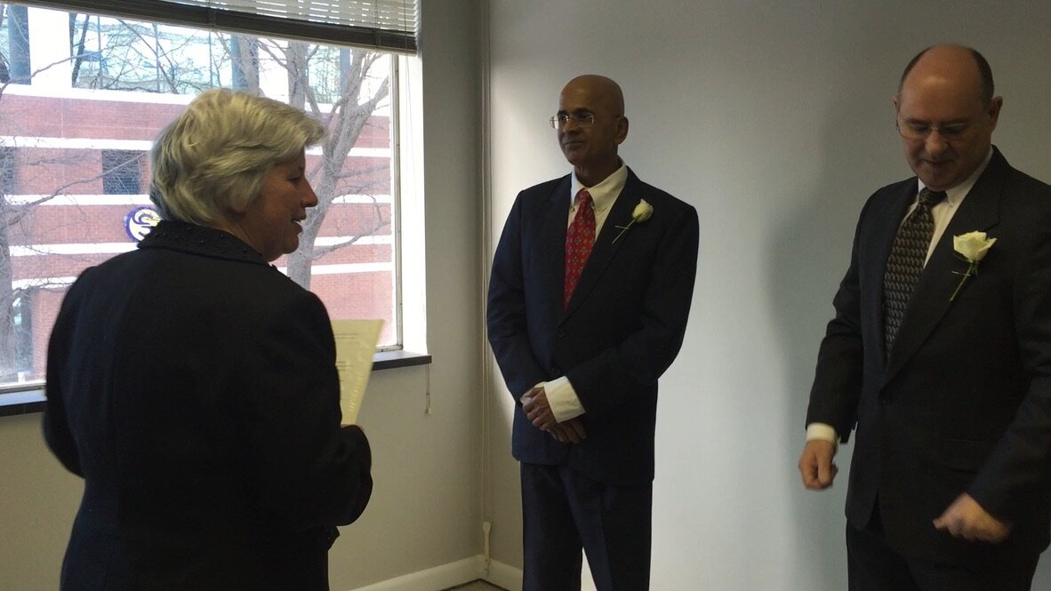 Vishwas and Joe's wedding, 2015