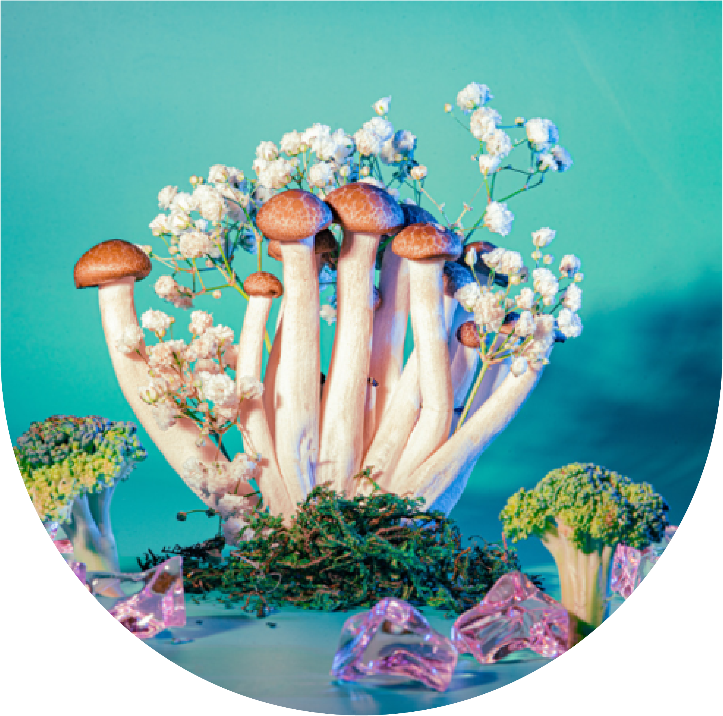 5 Illusions on the Magic Mushroom Path