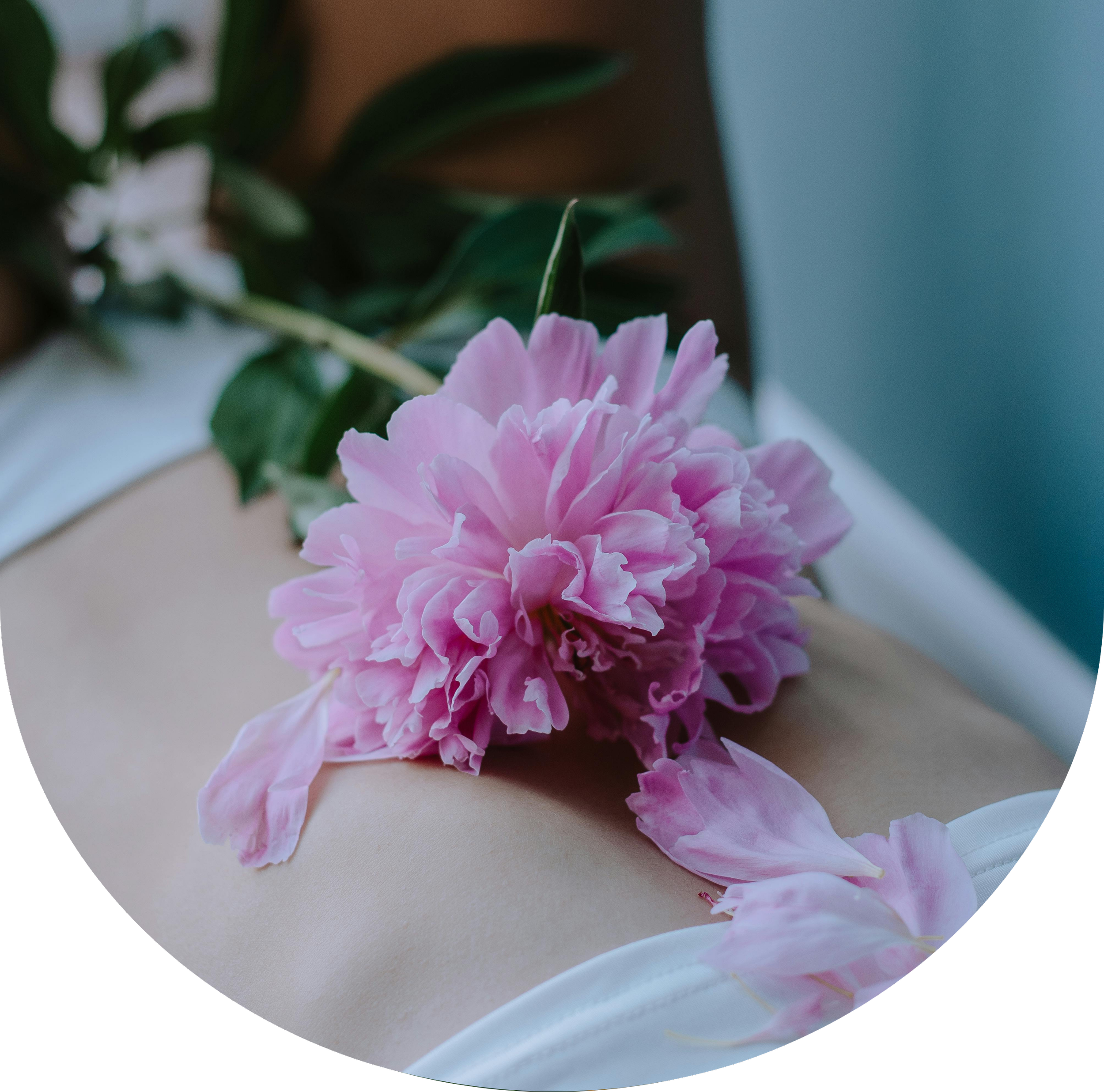 Womb Healing with Master Plants