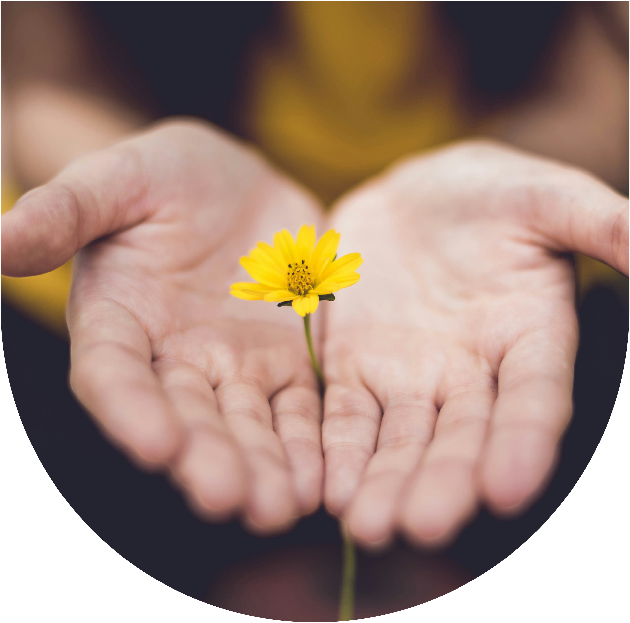 4 Master Plant Dietas Essential for the Shamanic Path