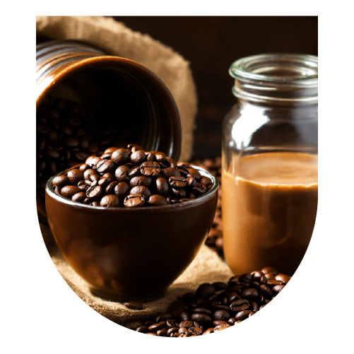Coffee Small Group Master Plant Diet: November 2025