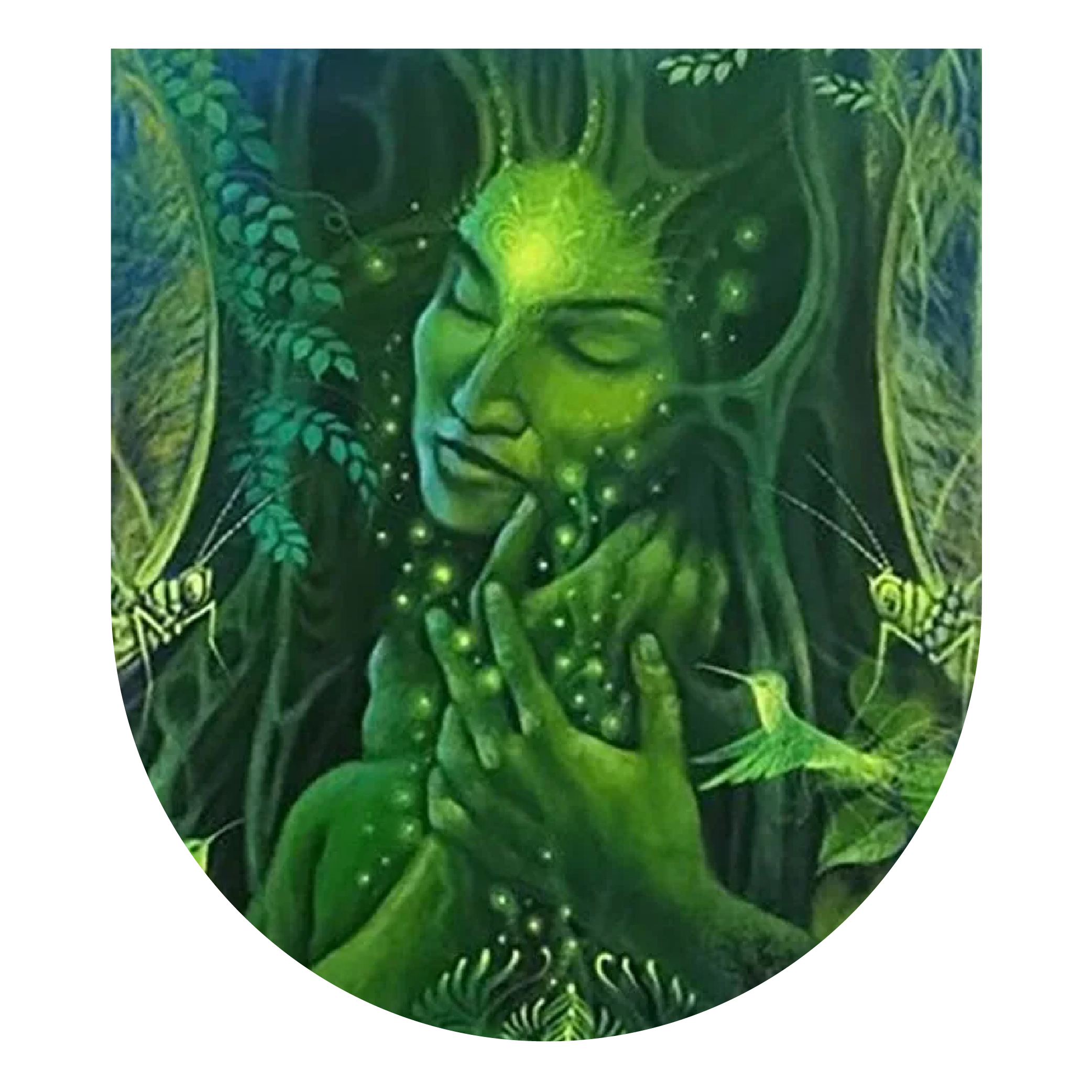 Ayahuasca Mystery School: Sept 2025