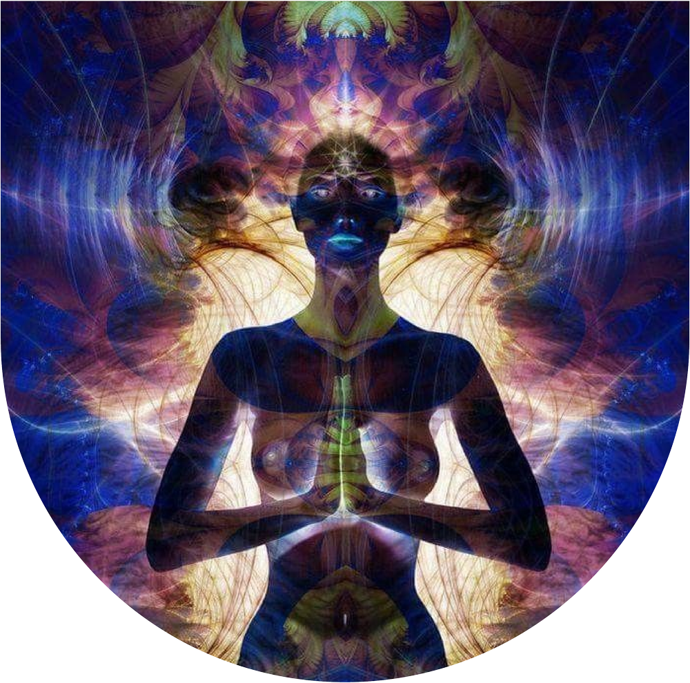 The Anatomy of Protection - Finding Safety in the Darkness — Plant ...