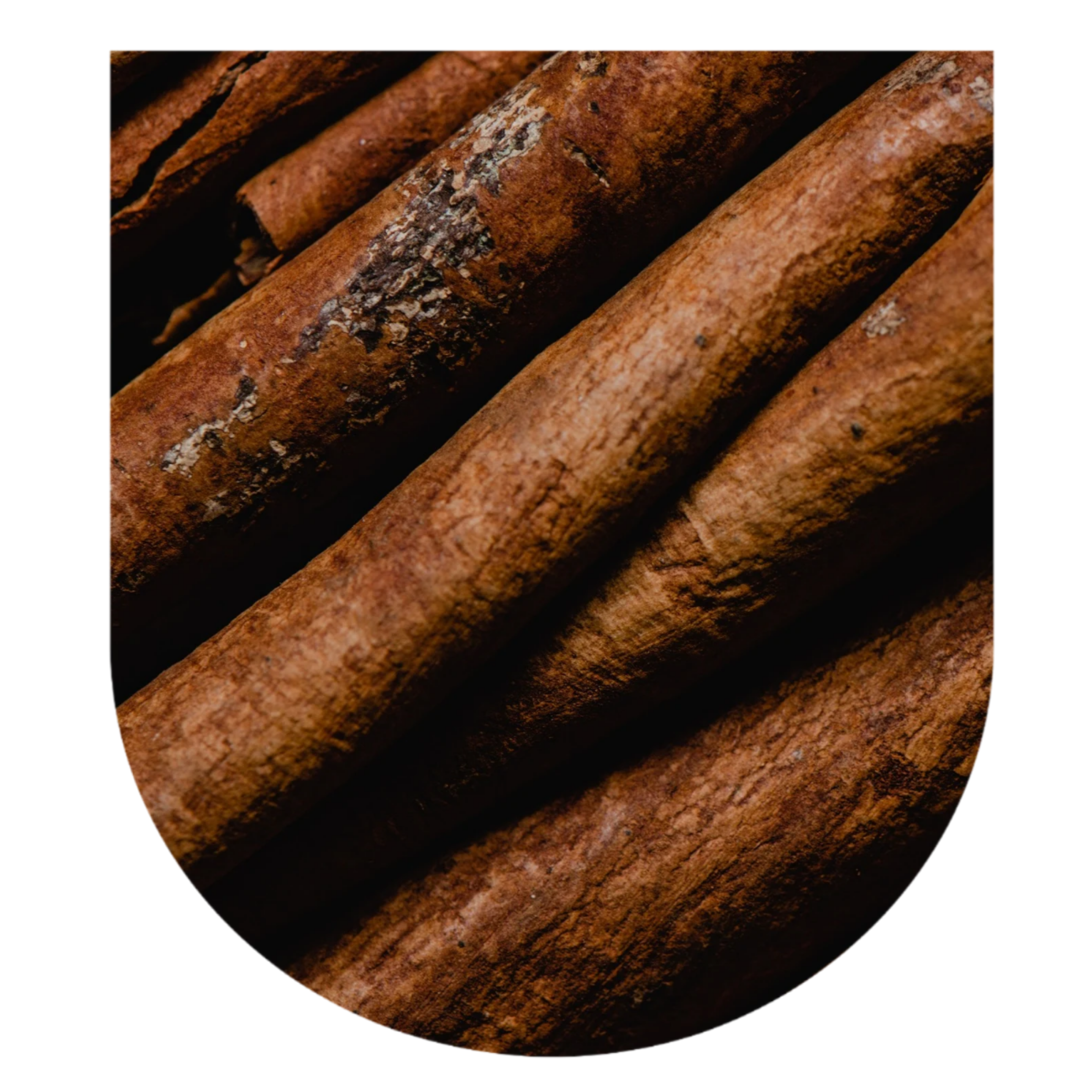 Cinnamon Small Group Master Plant Diet: November 2026