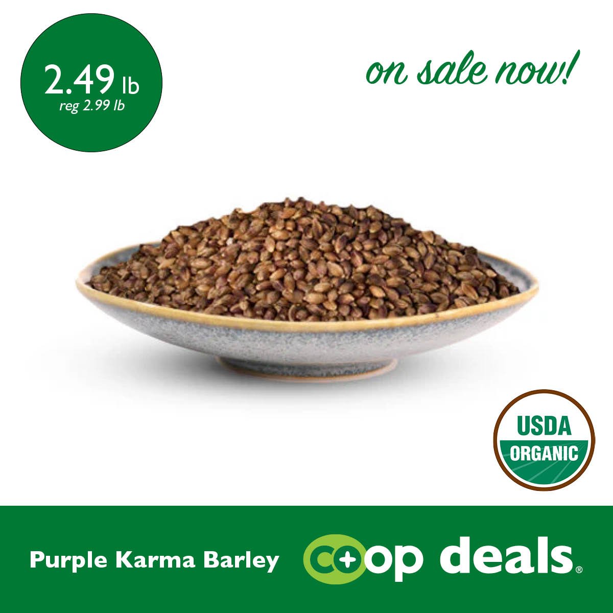 Organic-Purple-Karma-Barley.jpg
