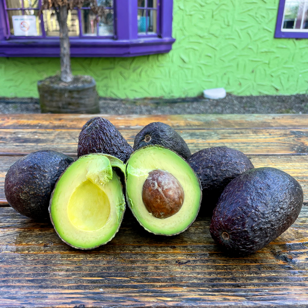 SQ-Avocados.png