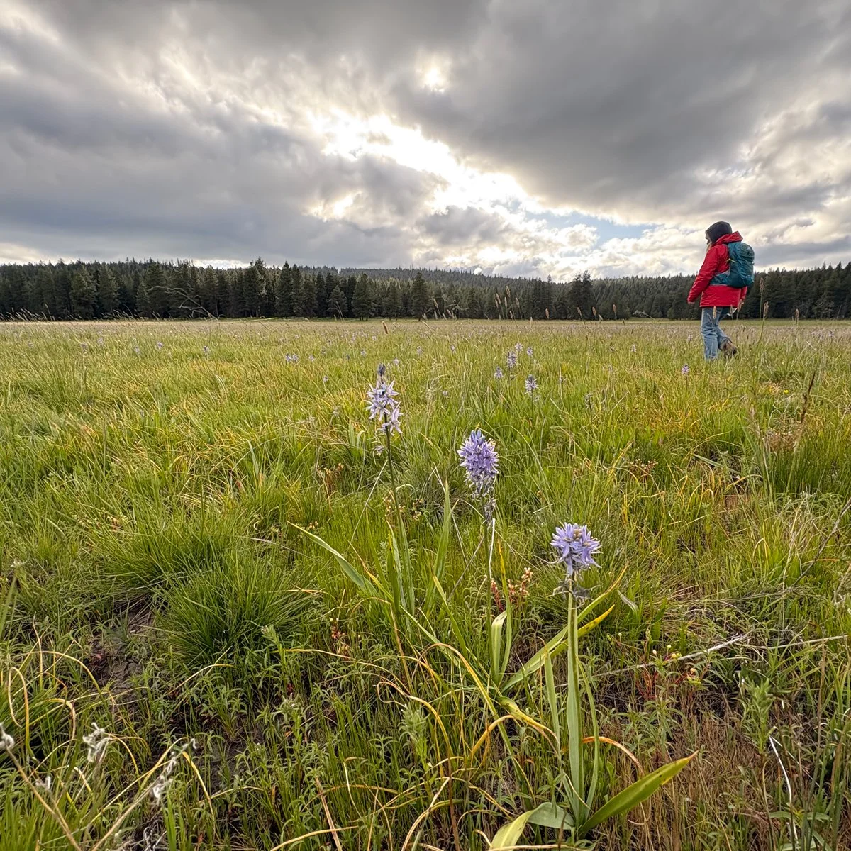 2026-VM-SQ-Camas.jpg