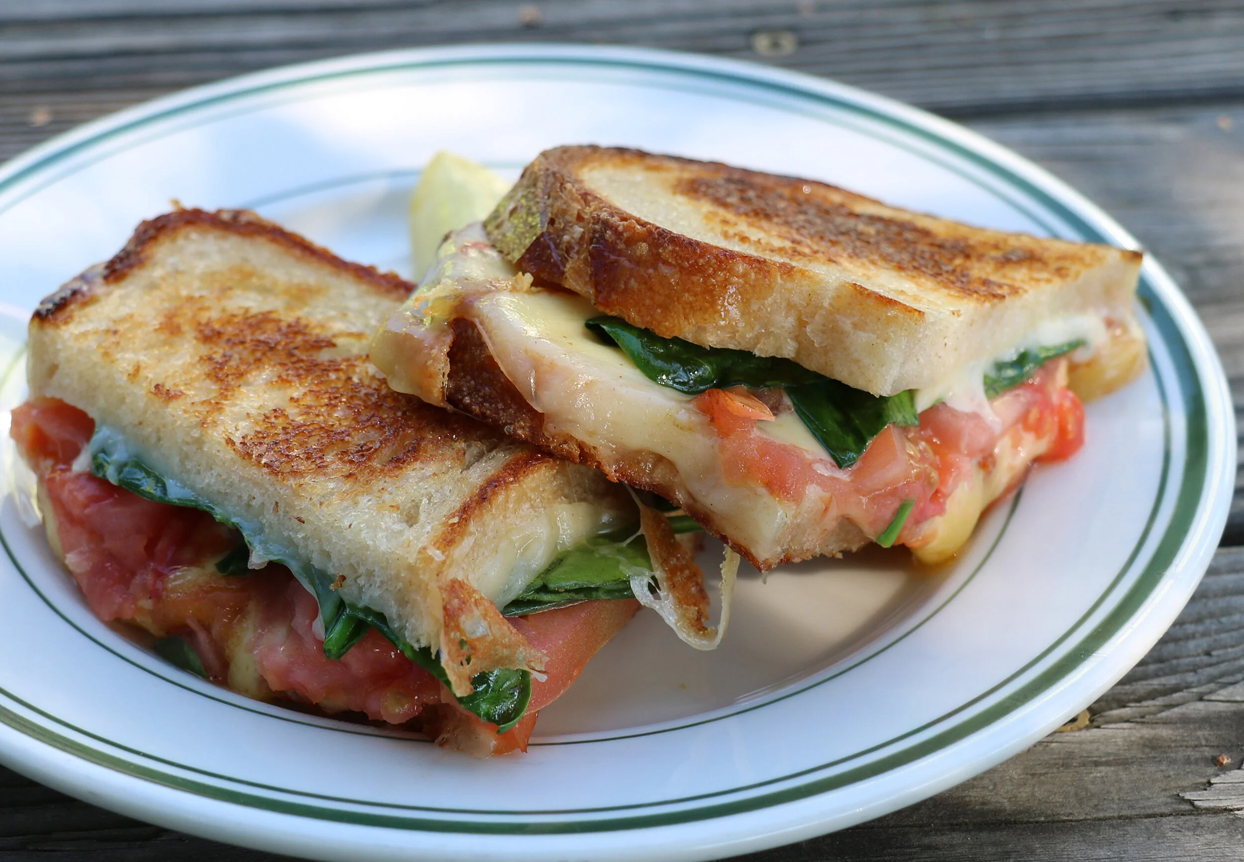 Grizzly Grilled Cheese Sandwich