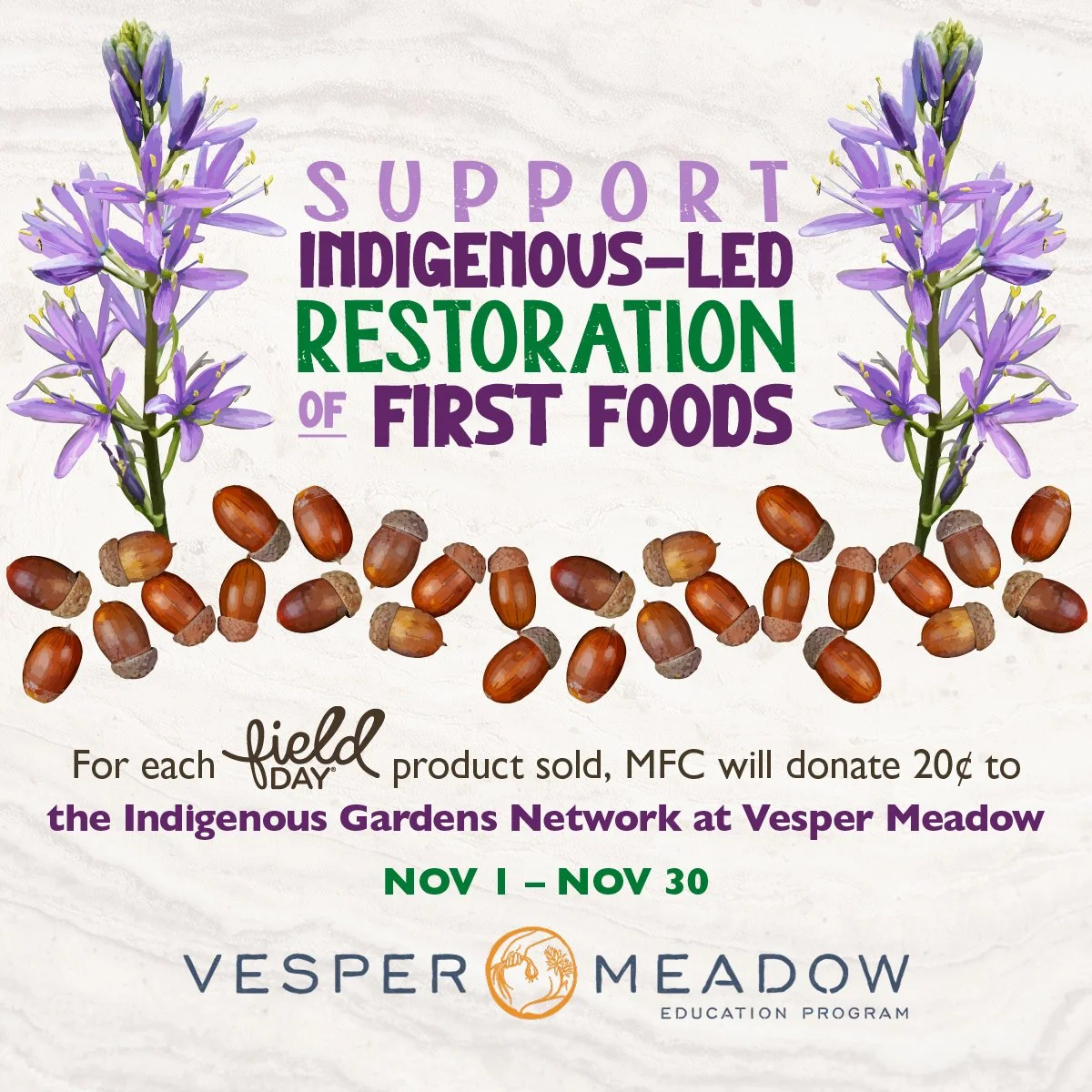 Native American Heritage Month Fundraiser