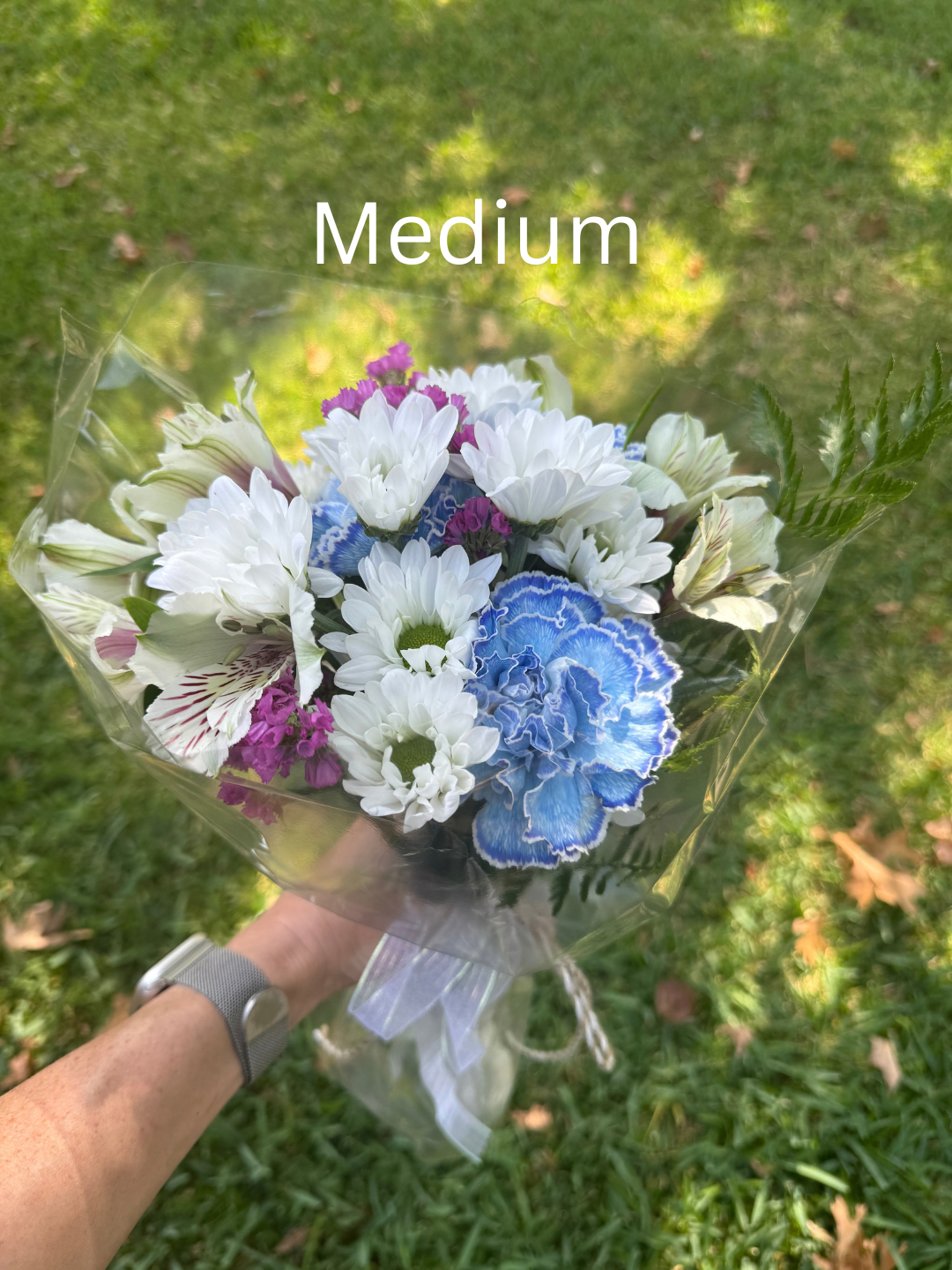 Medium.png (Copy)
