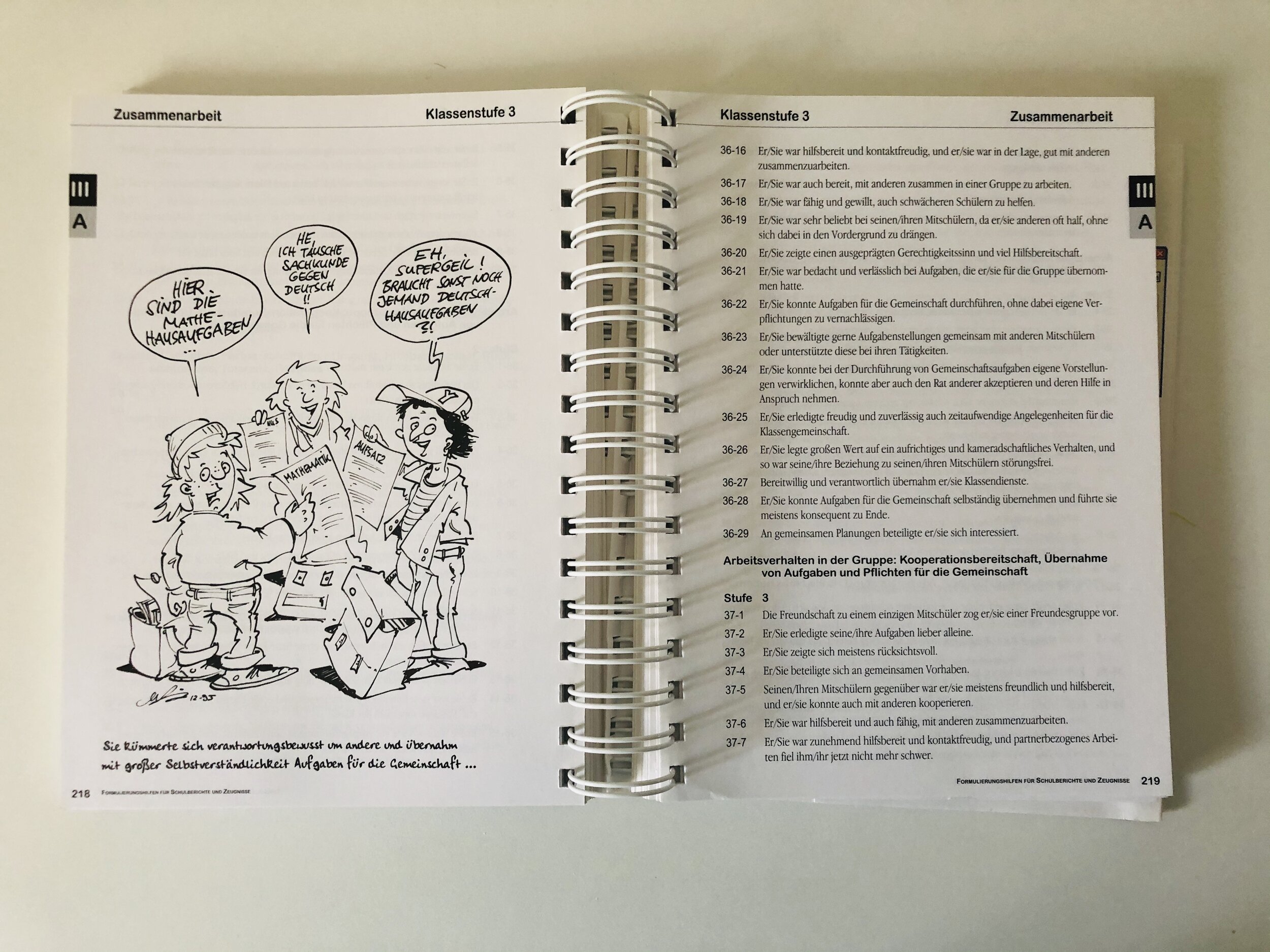  Buch Formulierungshilfen für Schulberichte und Zeugnisse 