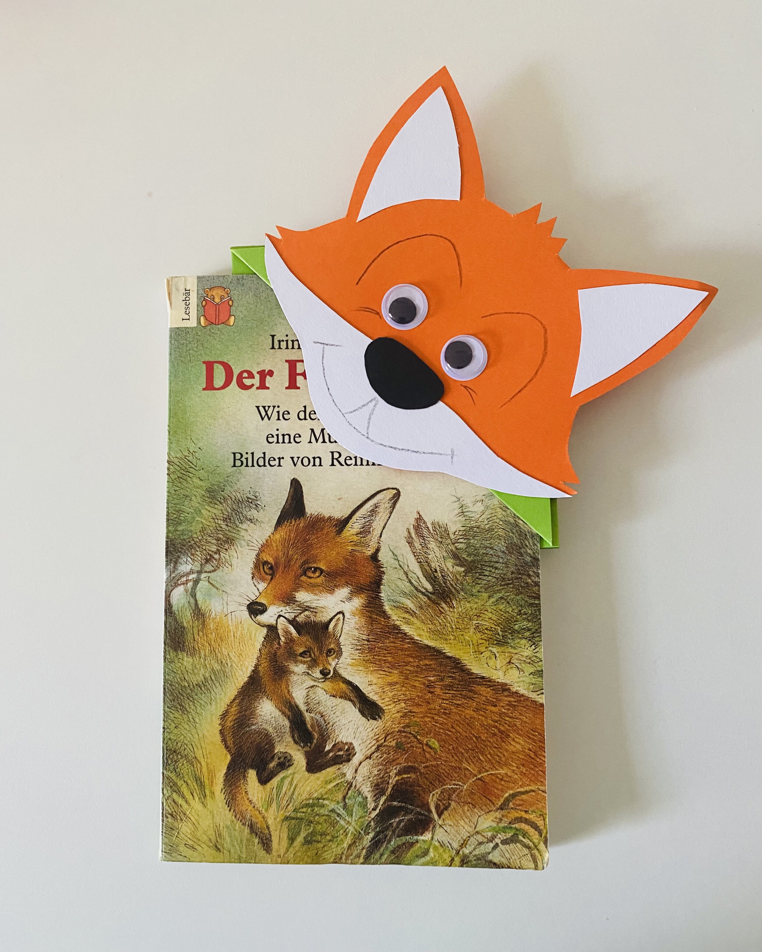  Buch Der Findefuchs mit passendem Lesezeichen 