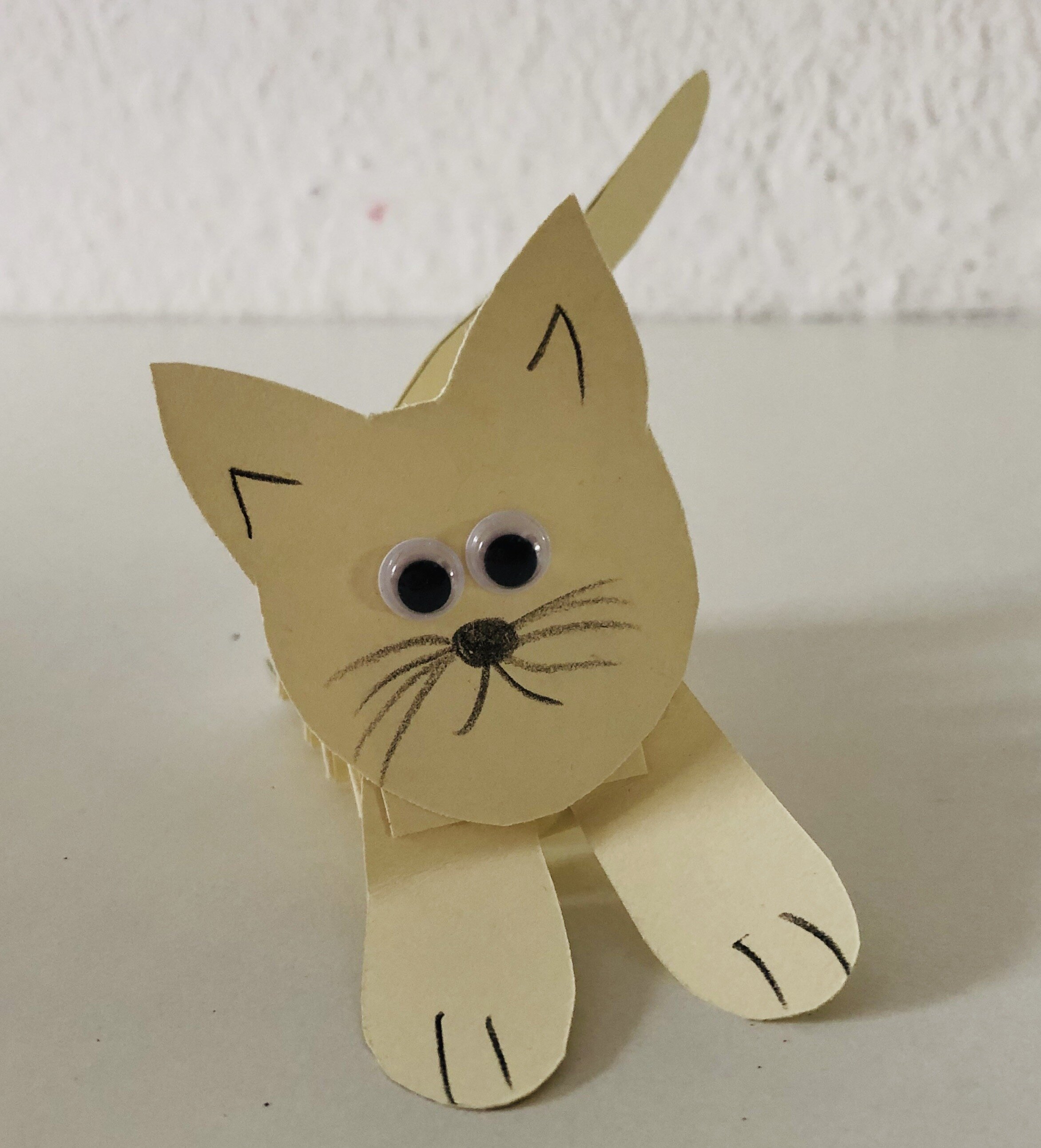 IMG_3283.jpeg