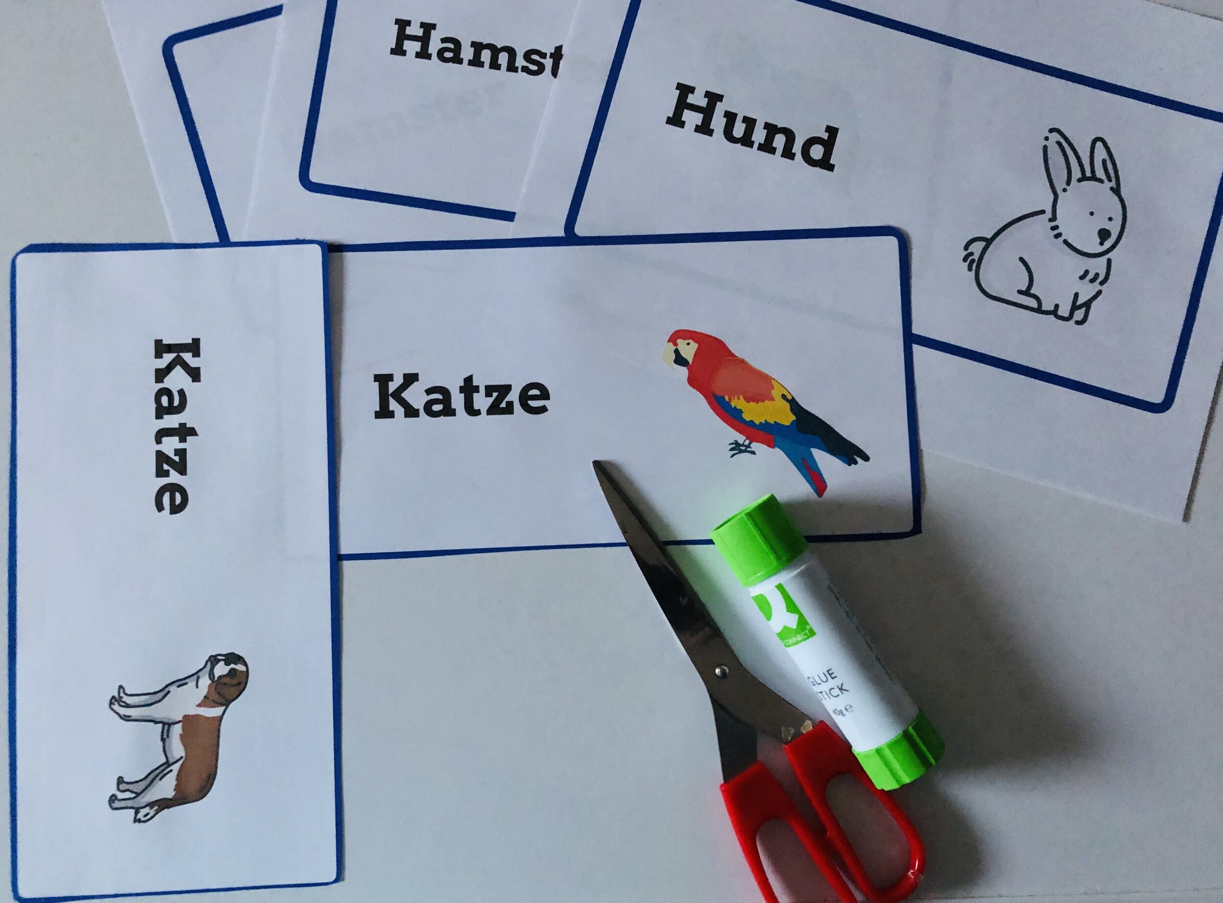 Projekt Haustiere: Spiel Memory — Grundschule und Basteln