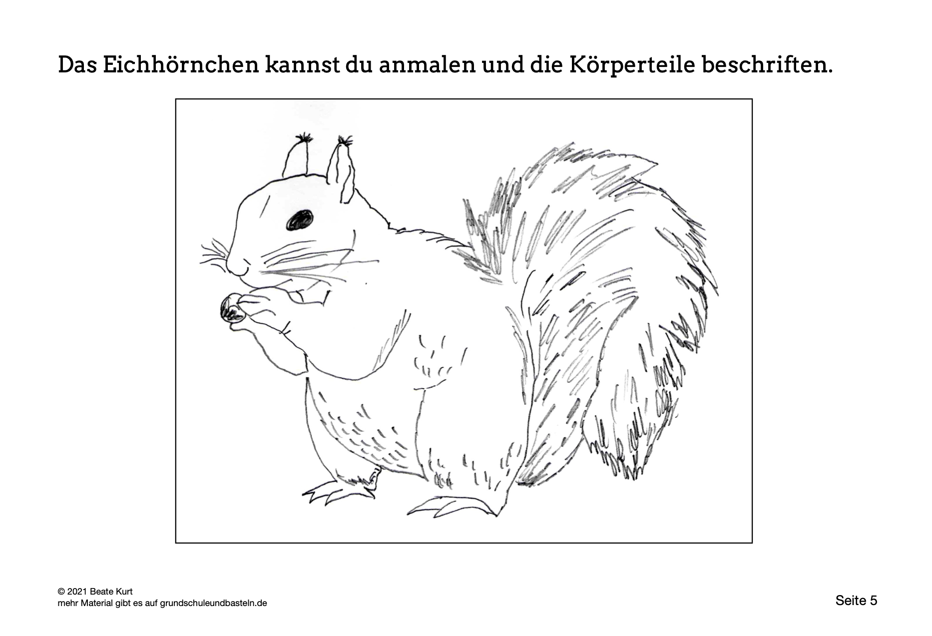  Arbeitsmaterial zum Lapbook Eichhörnchen 