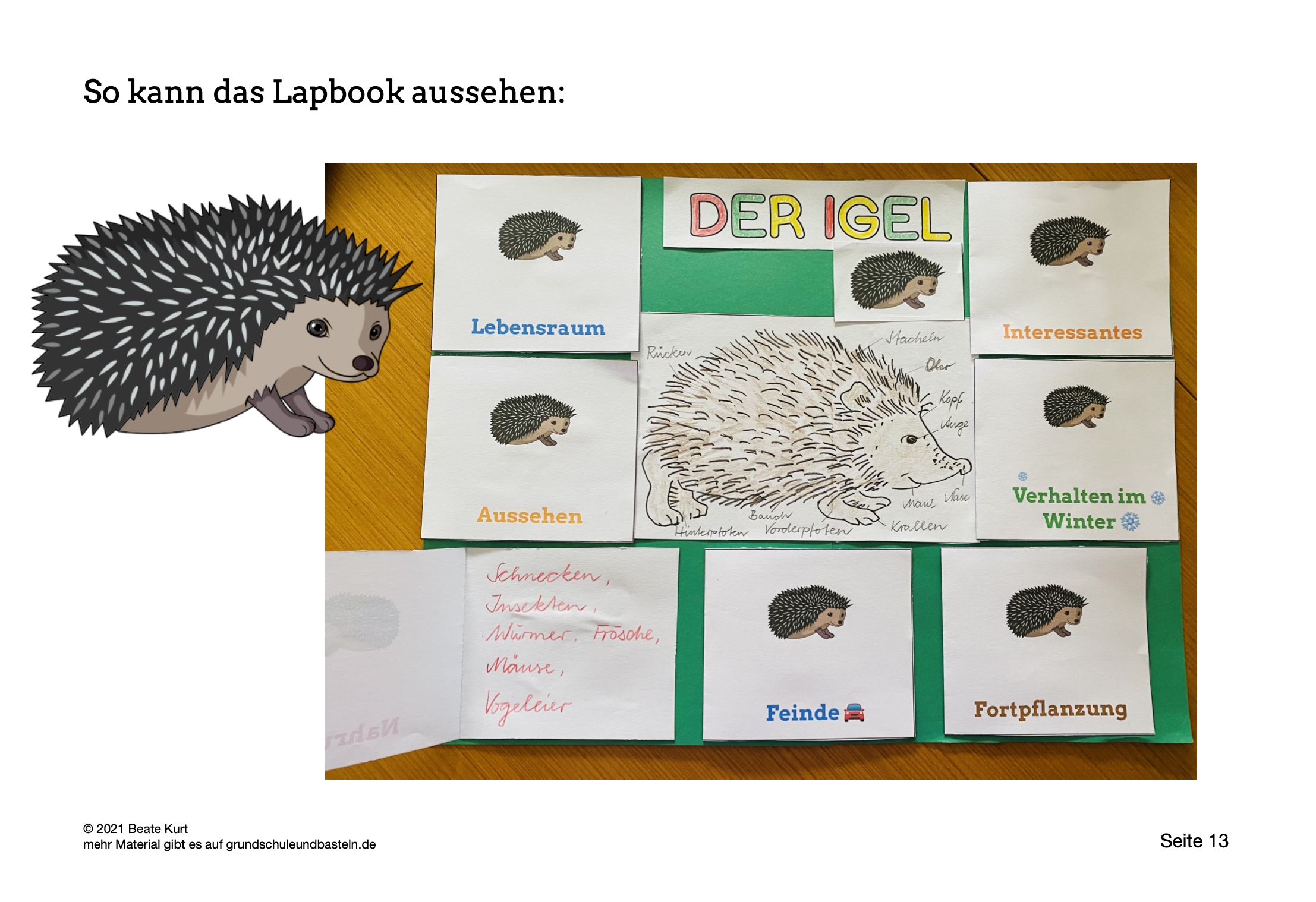 24 personalisierte Aufkleber Schule – mit Igel – Papierdrachen