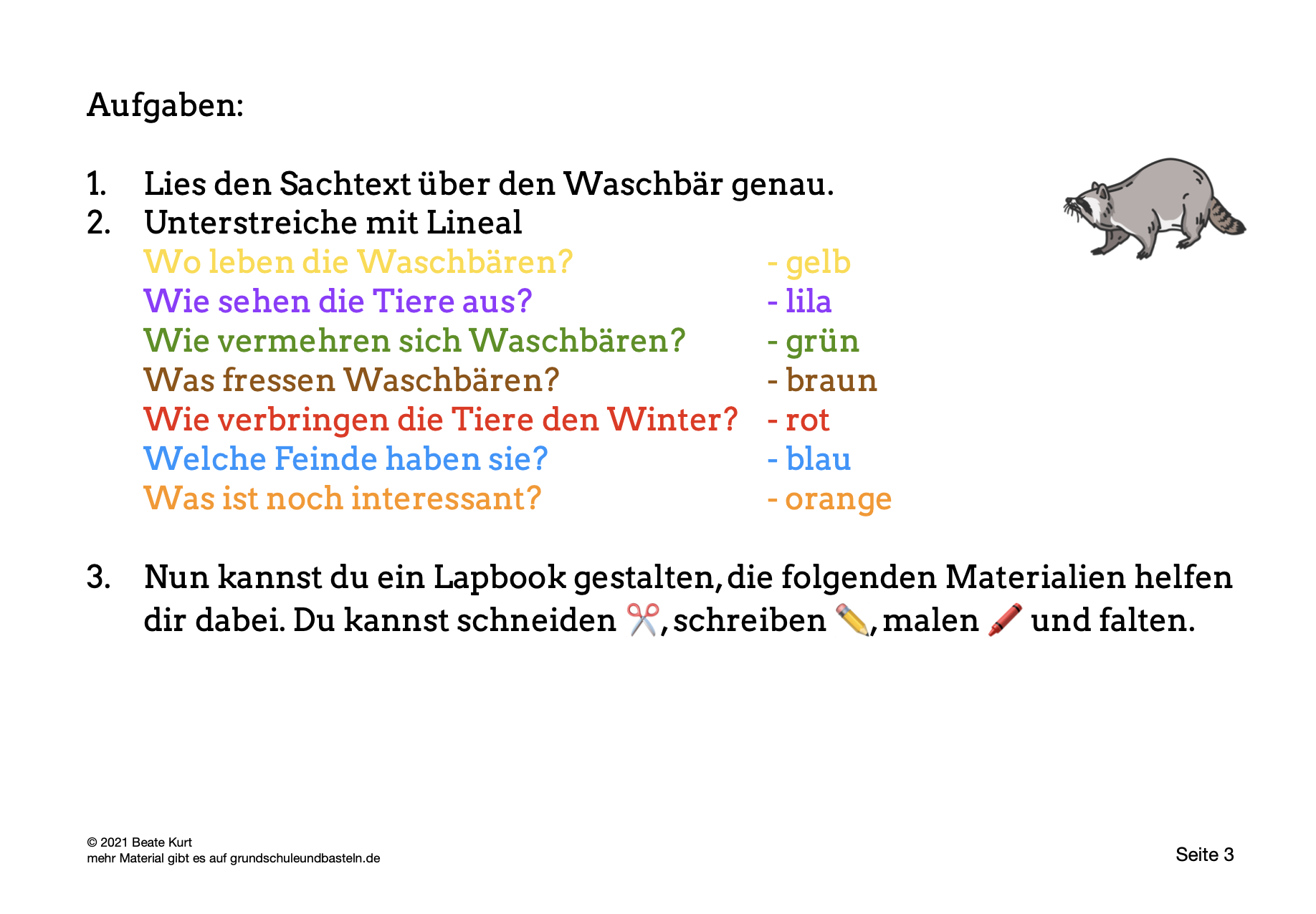  Lapbook Waschbär 