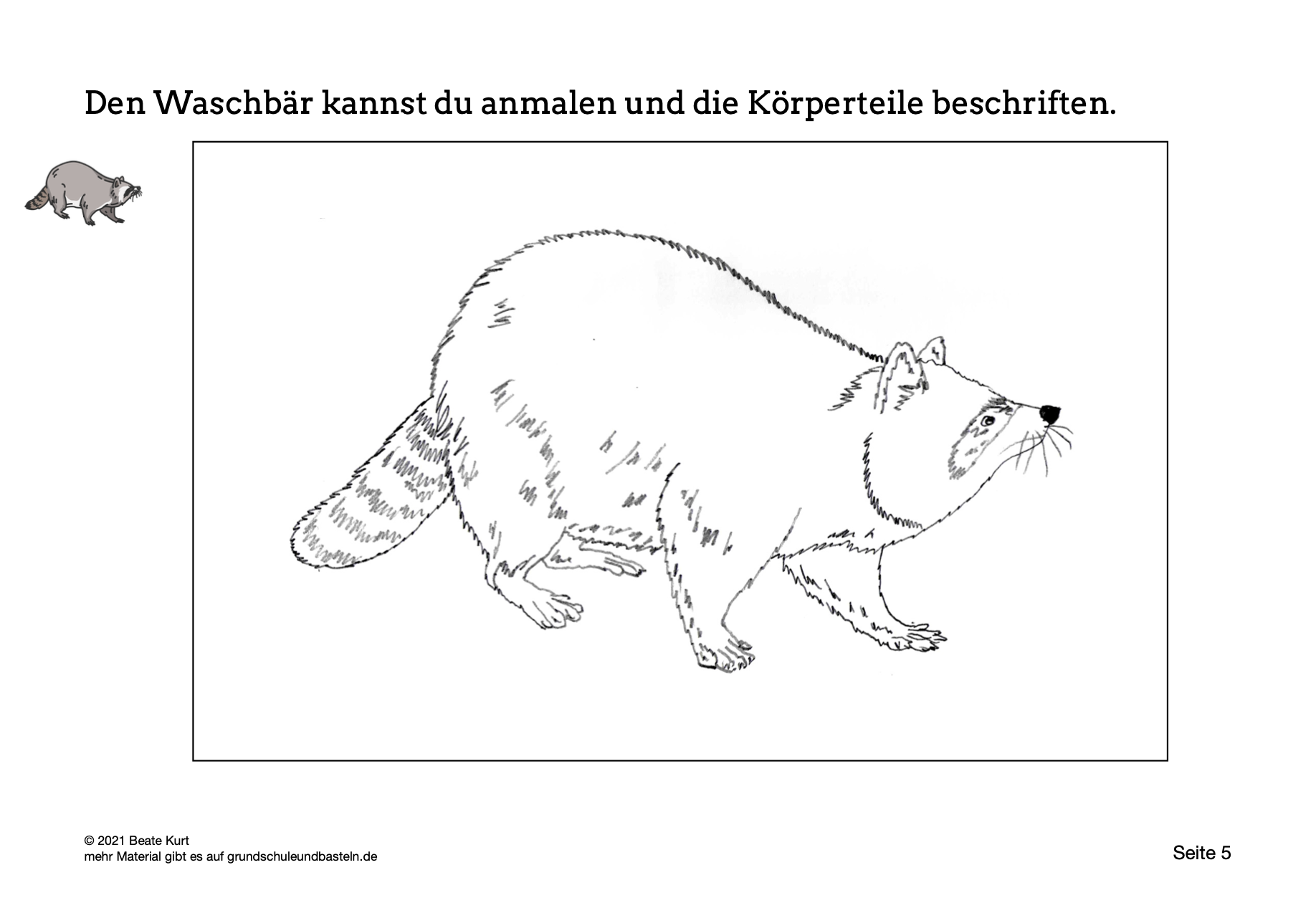  Arbeitsmaterial zu Lapbook Waschbär 