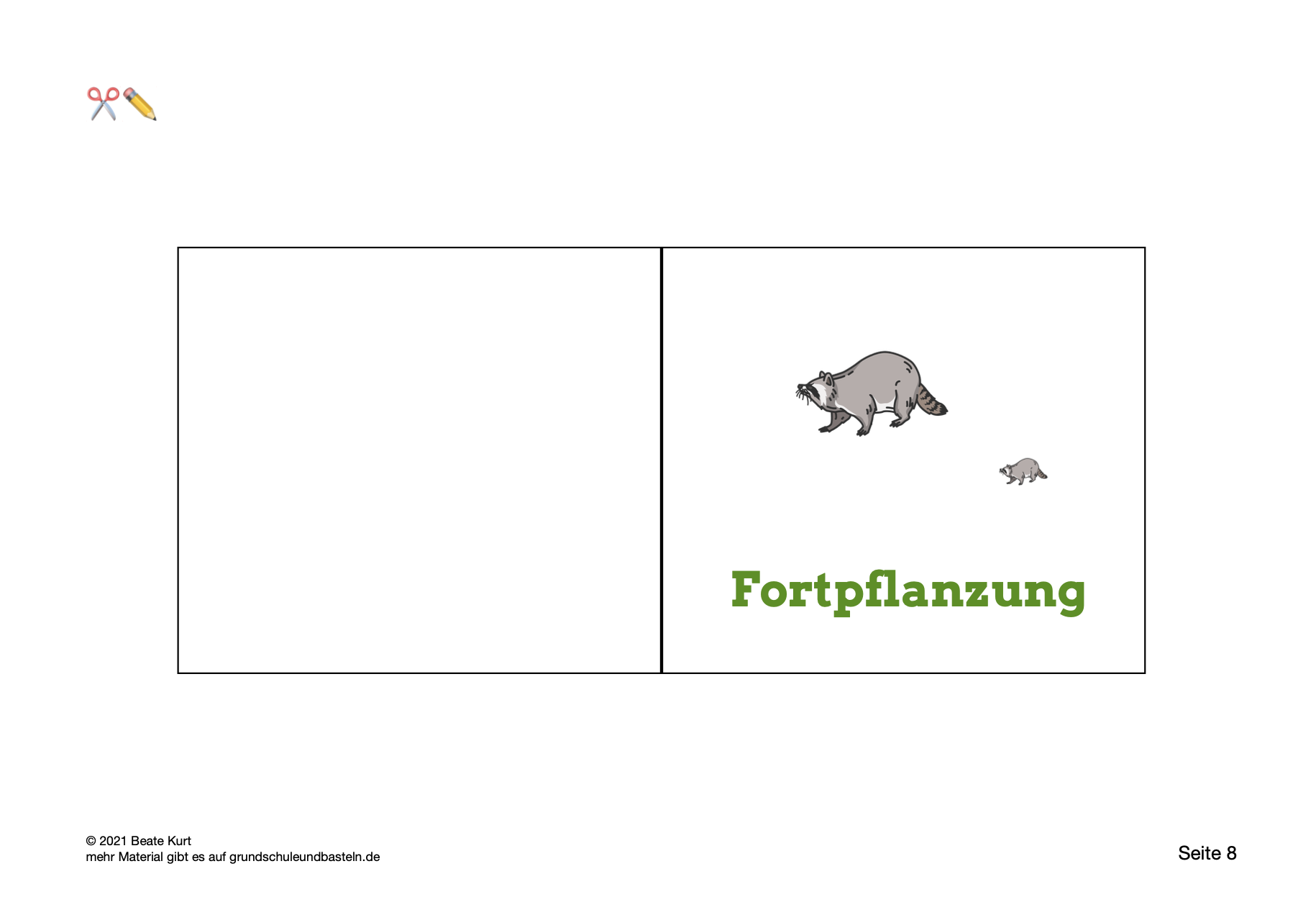  Lapbook Waschbär 