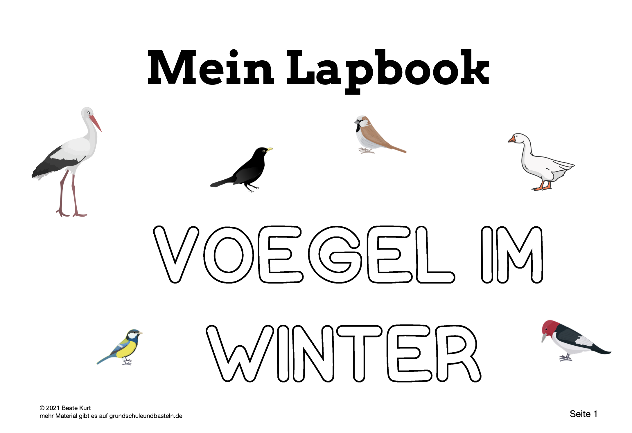  Lapbook: Vögel im Winter 