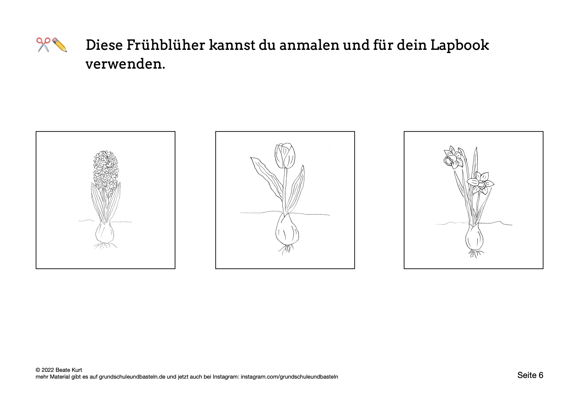  Lapbook Frühblüher 